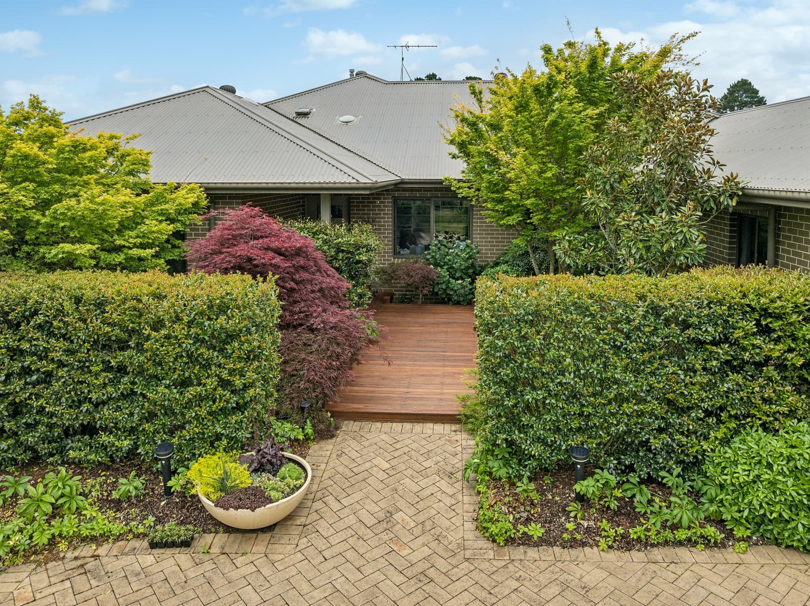 71 Waratah Road,Wentworth Falls, Wentworth Falls - Thumbnail 3
