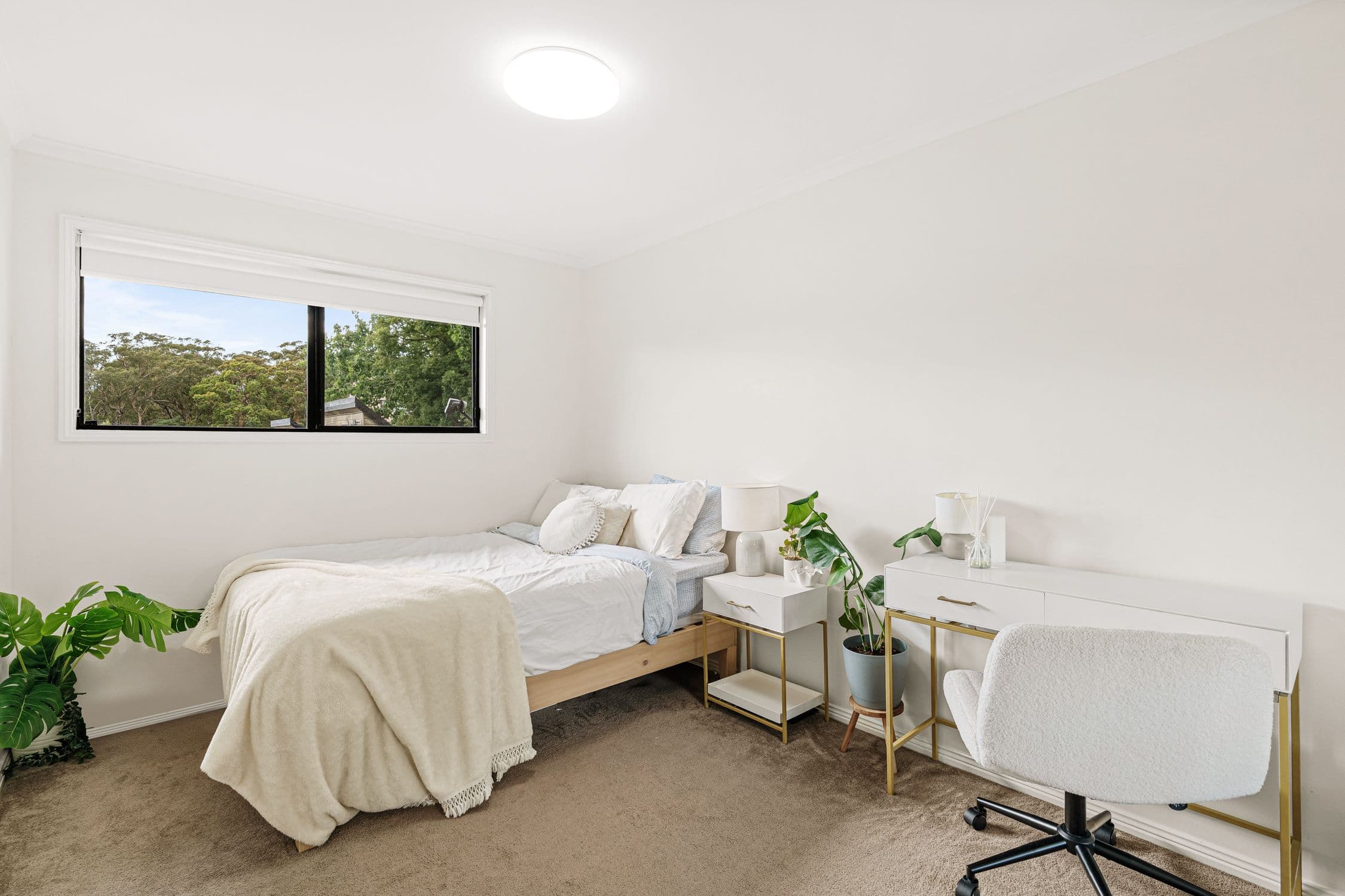 53 Dwyer Street, North Gosford NSW 2250, North Gosford - Thumbnail 6