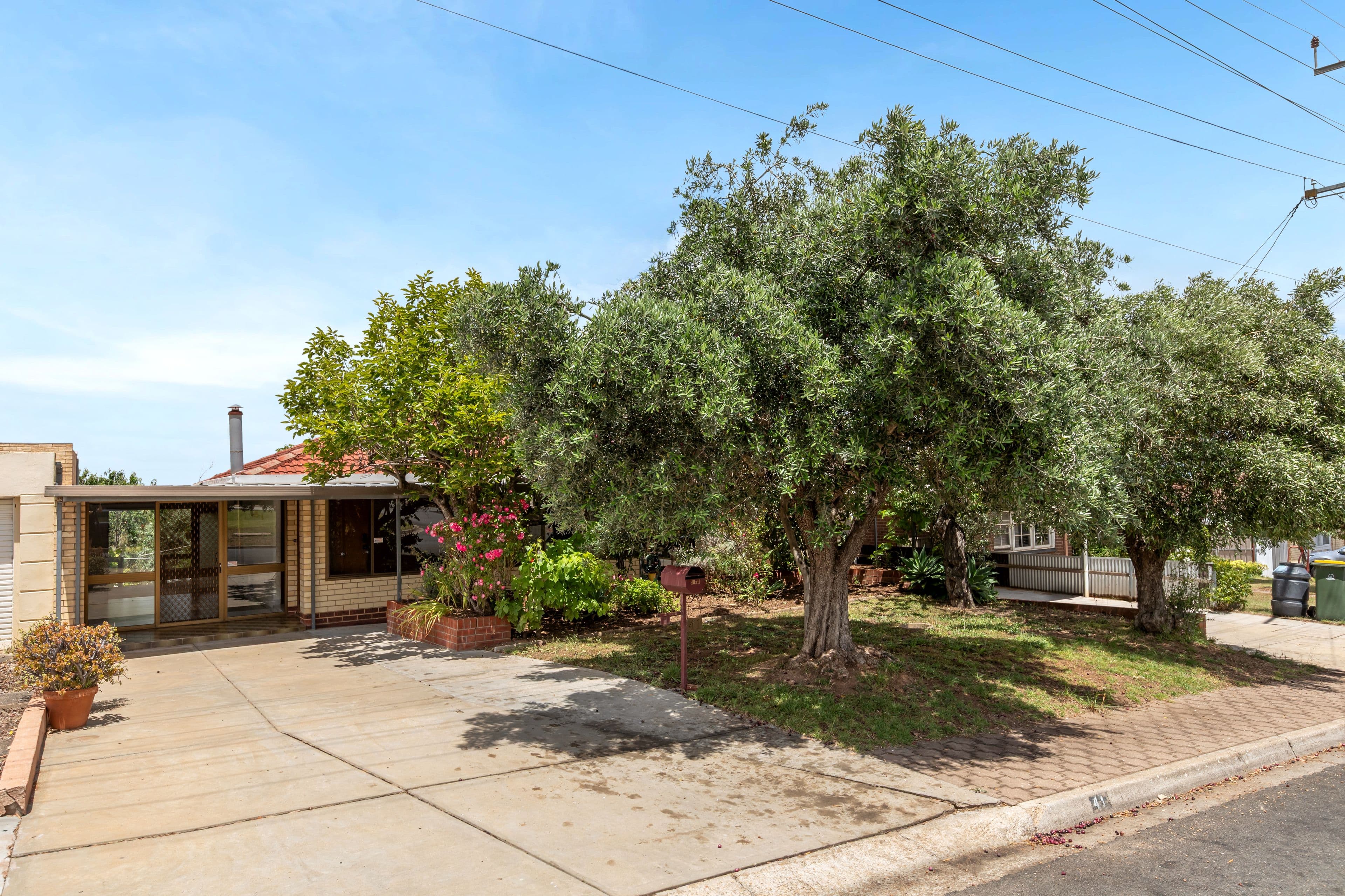 41 Finniss Avenue, Ingle Farm SA 5098, Ingle Farm - Thumbnail 2