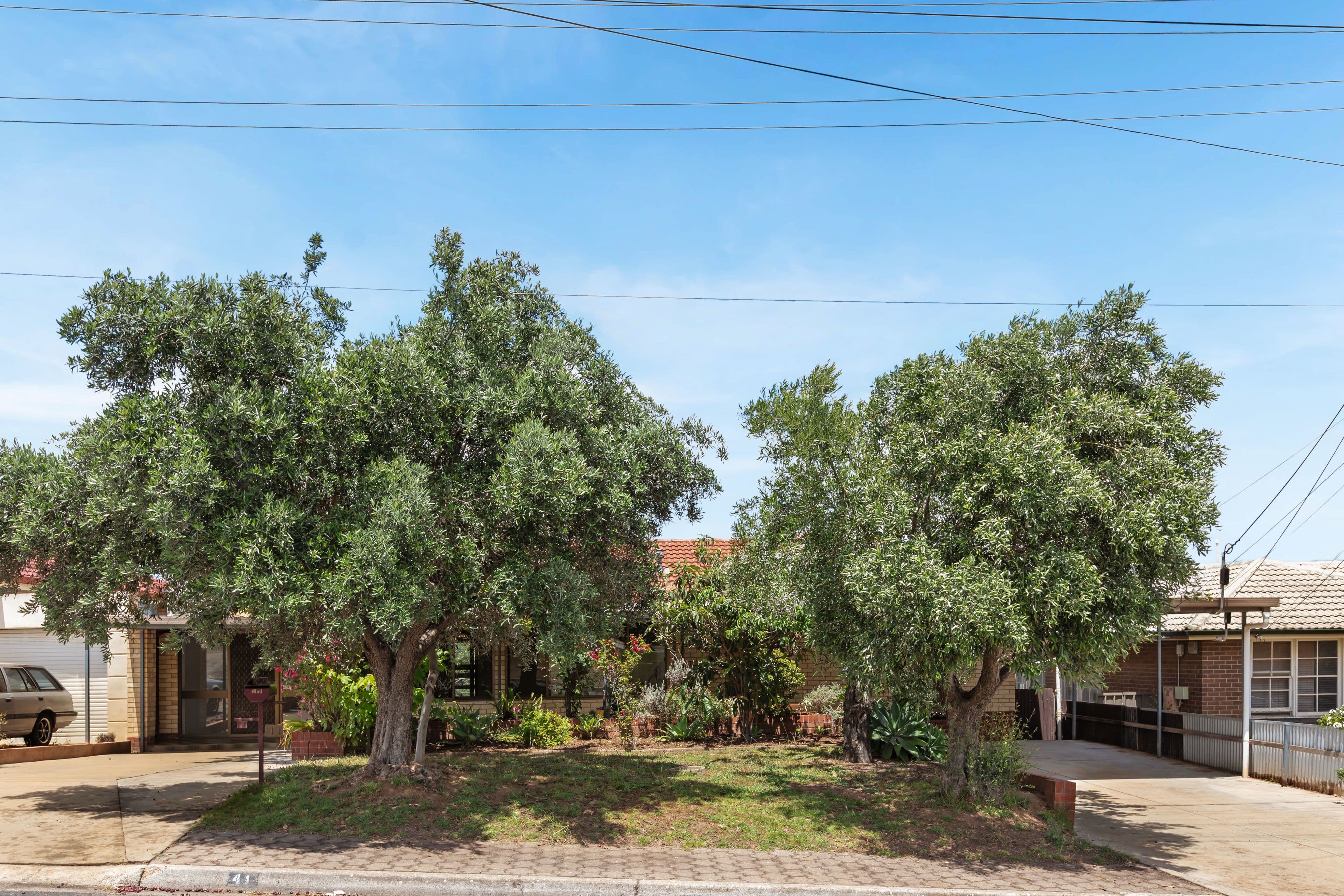 41 Finniss Avenue, Ingle Farm SA 5098, Ingle Farm - Thumbnail 3
