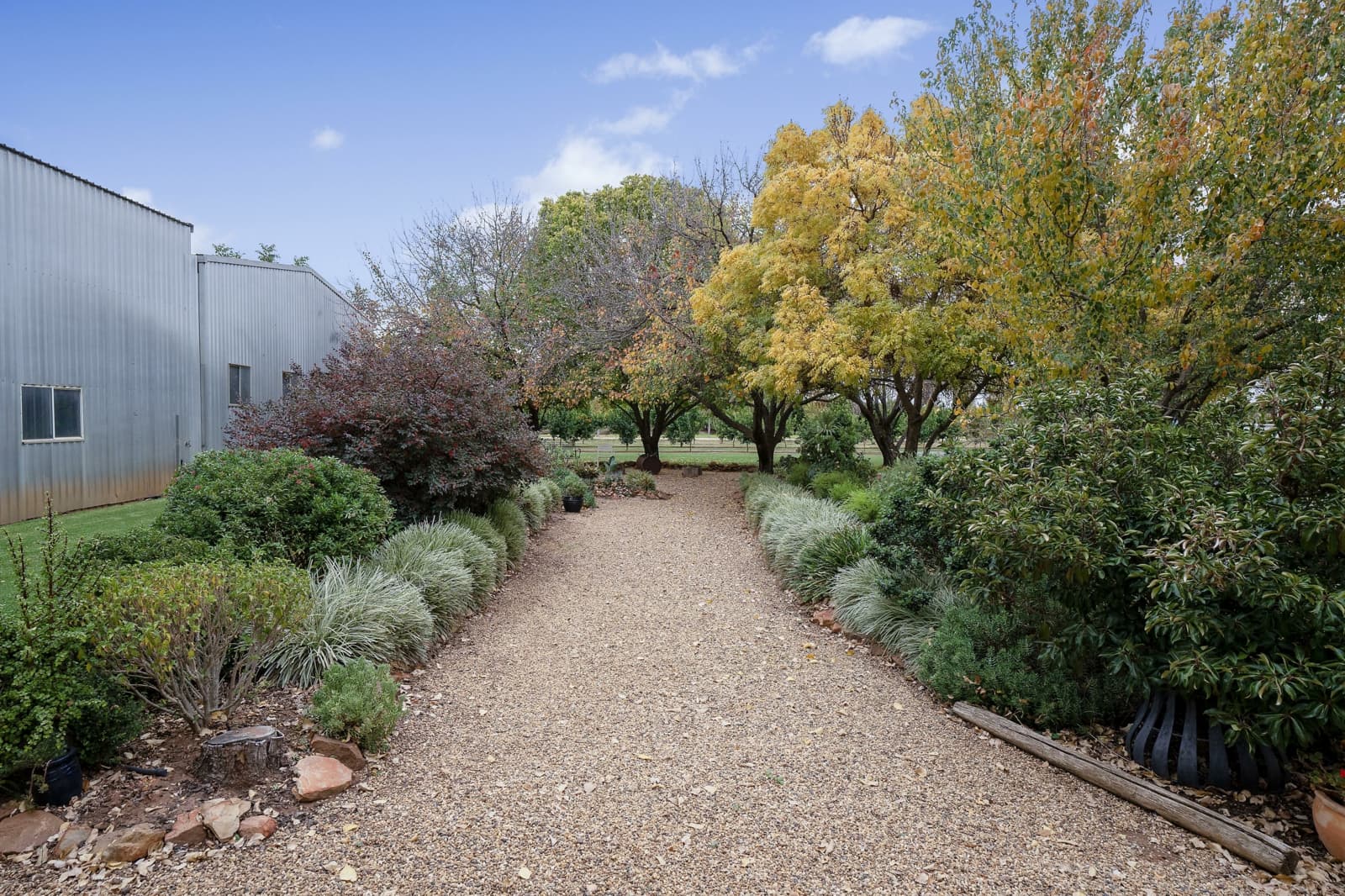 45 Jackson Road,Leeton, Leeton - Thumbnail 5