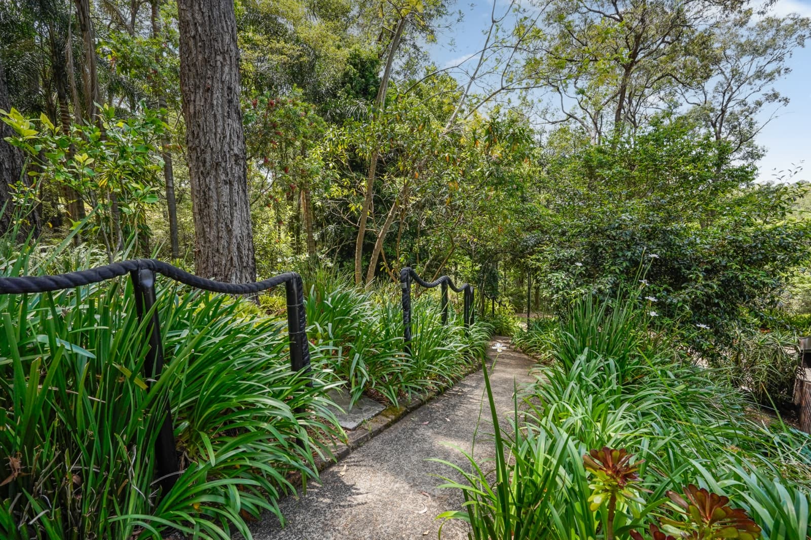 91 Serpentine Lane, BOWEN MOUNTAIN, Bowen Mountain - Thumbnail 4