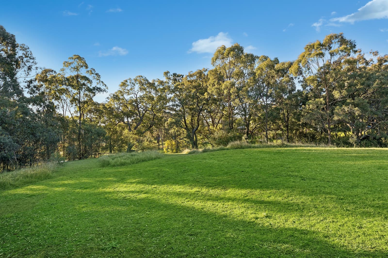 276 Carrolls Road,Menangle, Menangle - Thumbnail 3