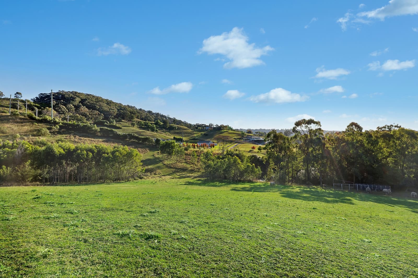 276 Carrolls Road,Menangle, Menangle - Thumbnail 6