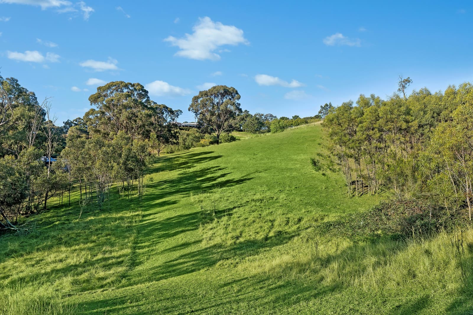 276 Carrolls Road,Menangle, Menangle - Thumbnail 8
