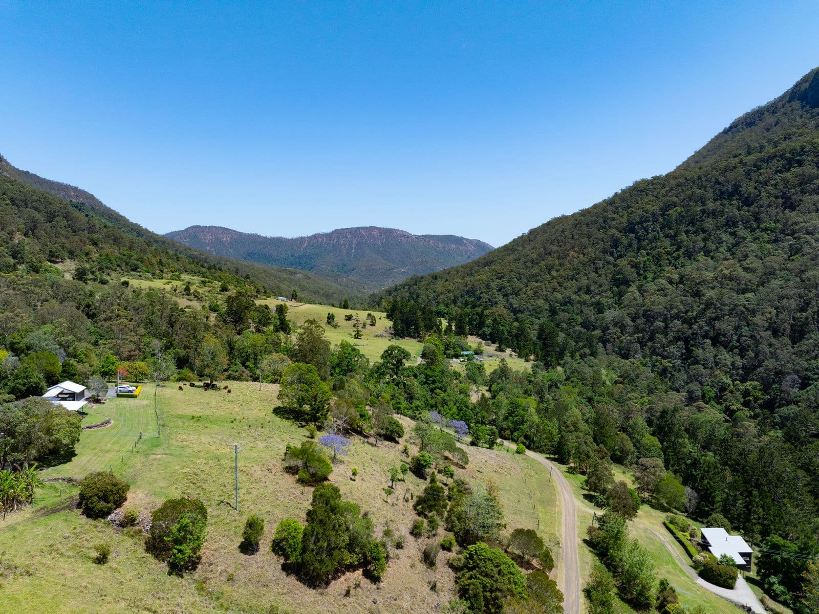 3196 Christmas Creek Road, Lamington - Thumbnail 8