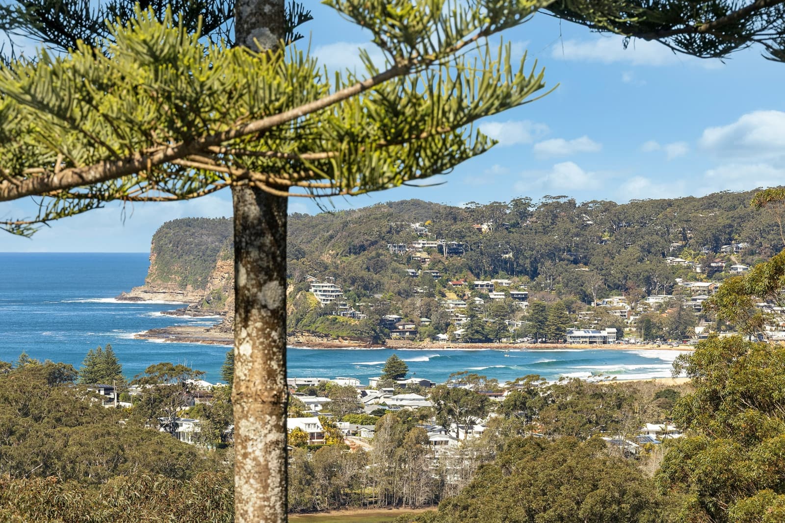 196 Scenic Highway,Terrigal, Terrigal - Thumbnail 6