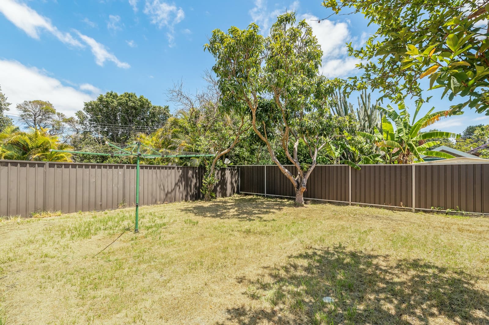 61 Vernon Avenue,Eastlakes, Eastlakes - Thumbnail 8