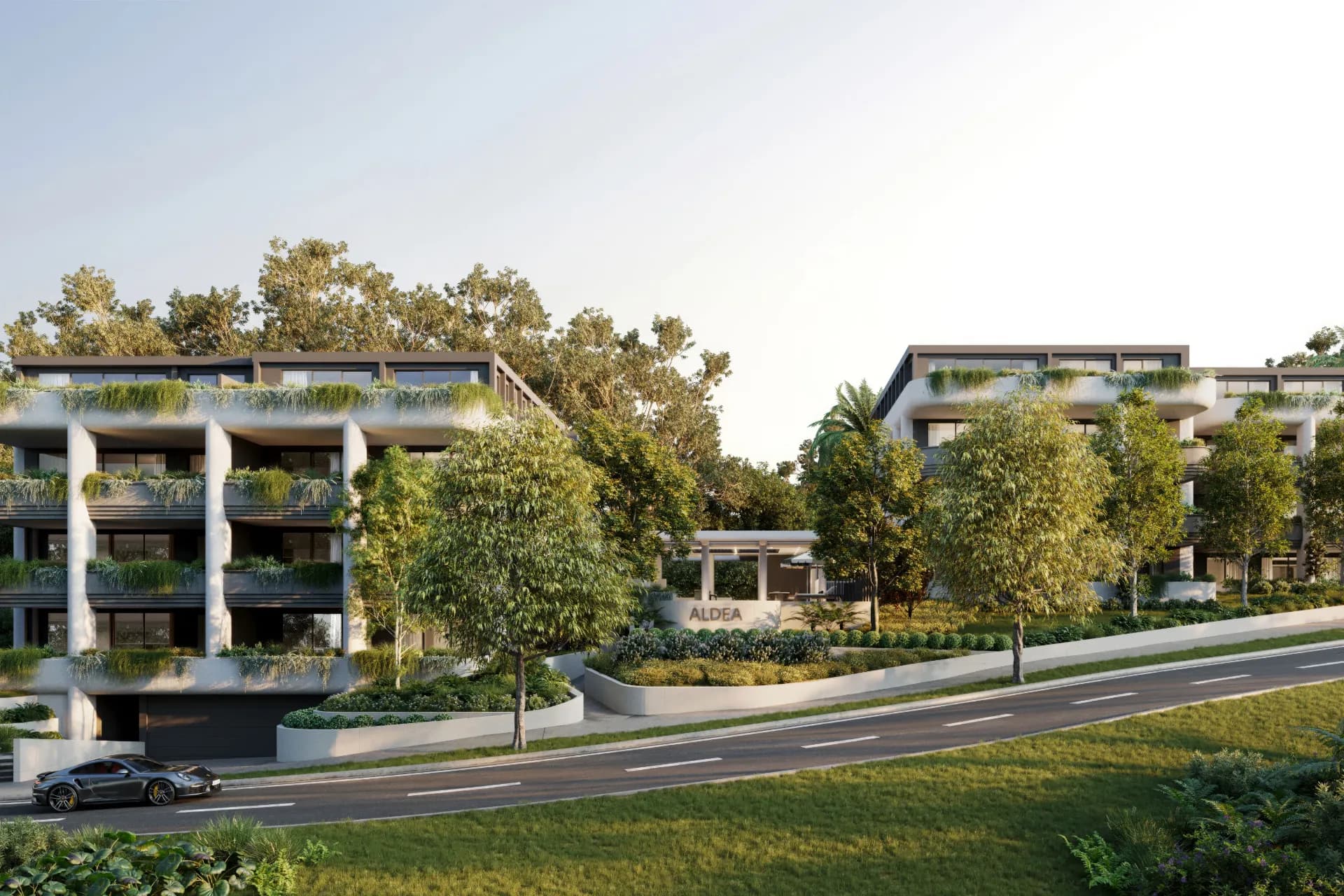 Aldea, Mona Vale, NSW, Mona Vale - Thumbnail 8