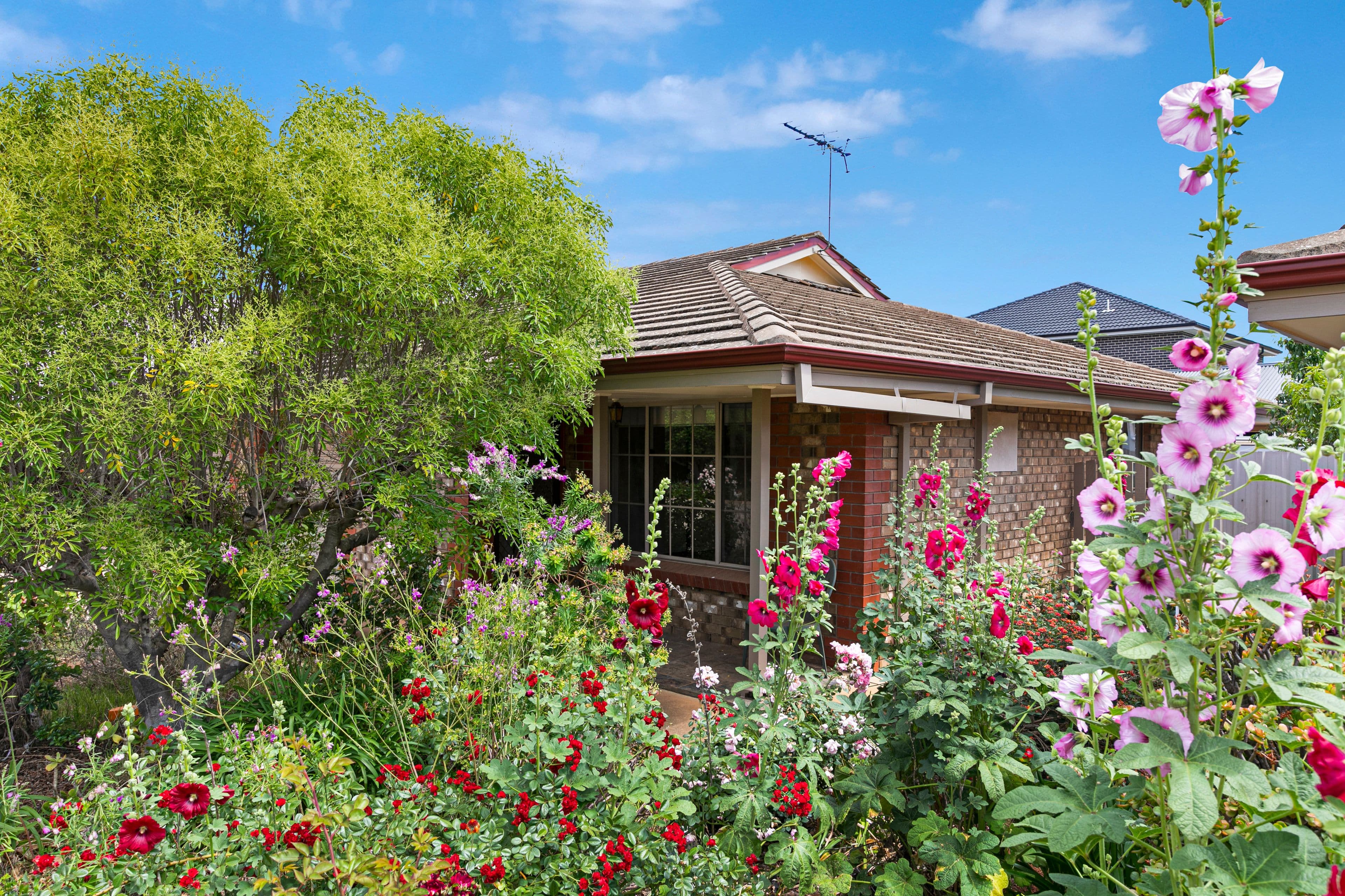 4 War Memorial Drive, Balaklava SA 5461, Balaklava - Thumbnail 4