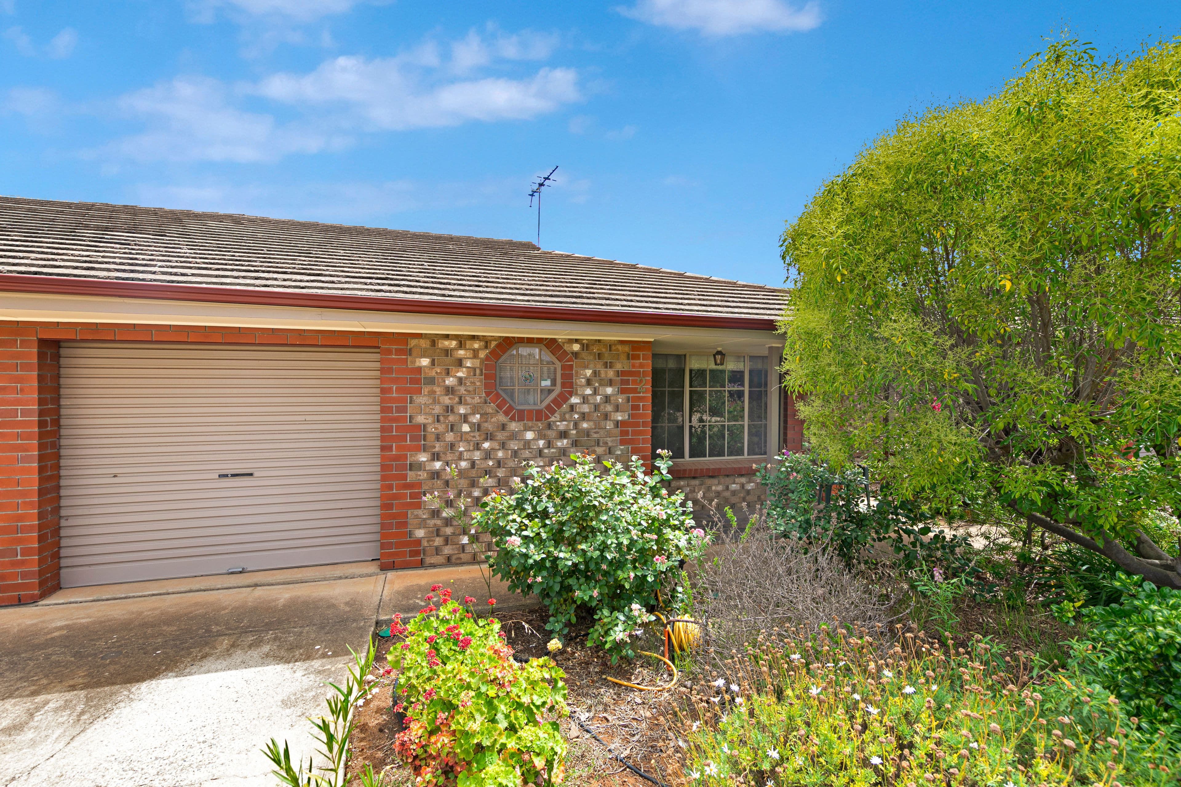 4 War Memorial Drive, Balaklava SA 5461, Balaklava - Thumbnail 5