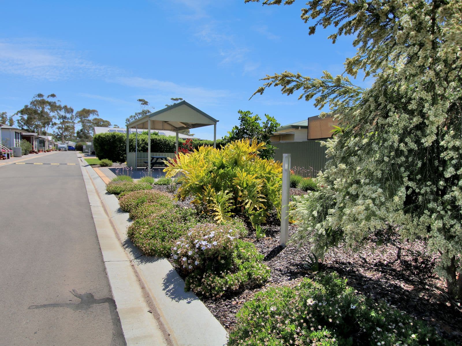 49 Peake Terrace, Waikerie - Thumbnail 3