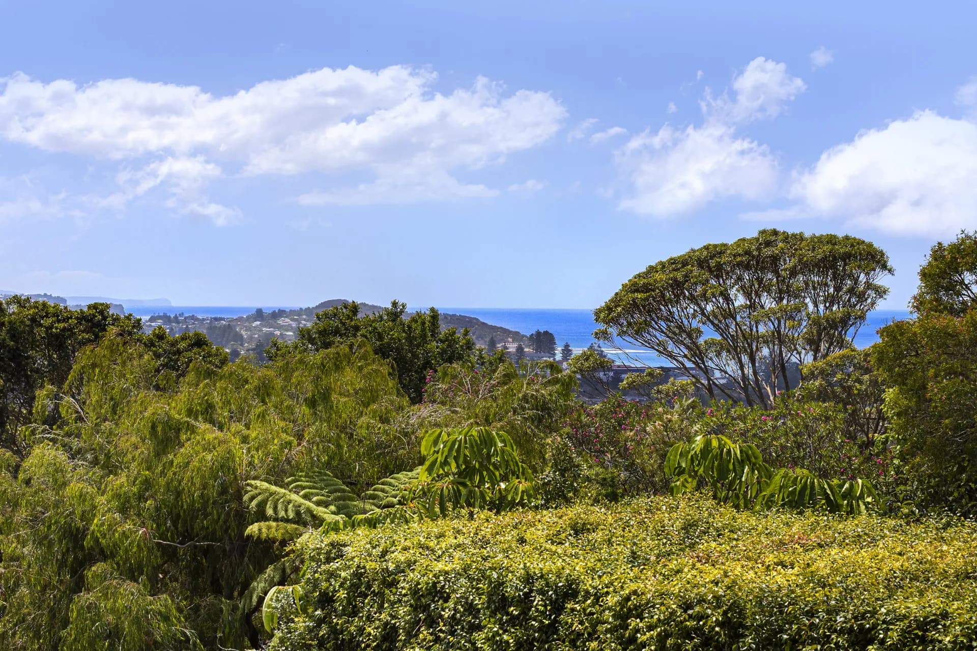 83 Edgecliffe Boulevard, Collaroy Plateau., Collaroy Plateau - Thumbnail 5
