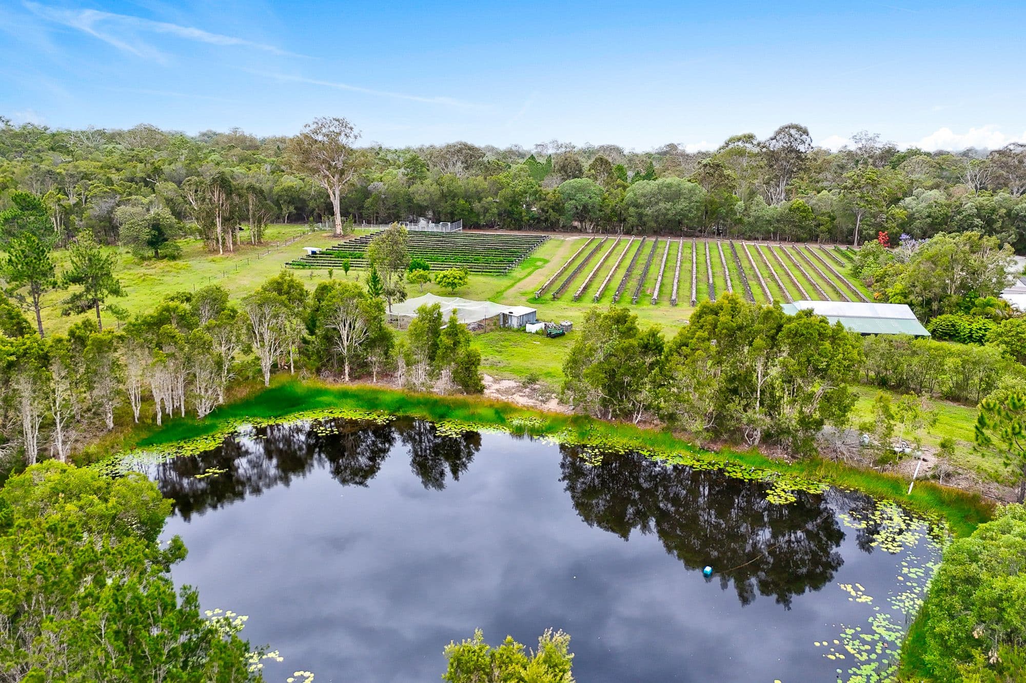 197 Stephan Road, Goomboorian QLD 4570, Goomboorian - Thumbnail 2