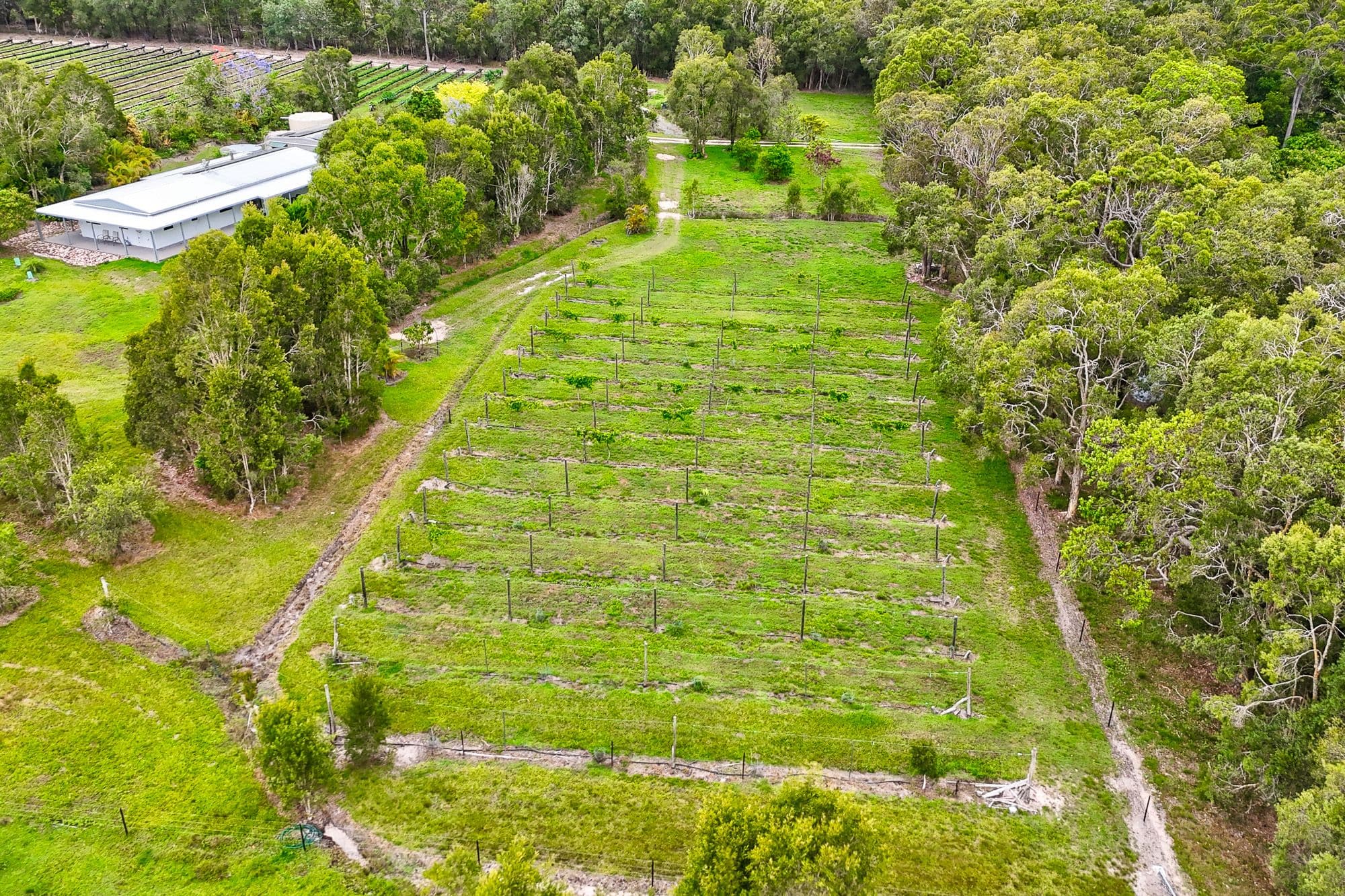 197 Stephan Road, Goomboorian QLD 4570, Goomboorian - Thumbnail 4
