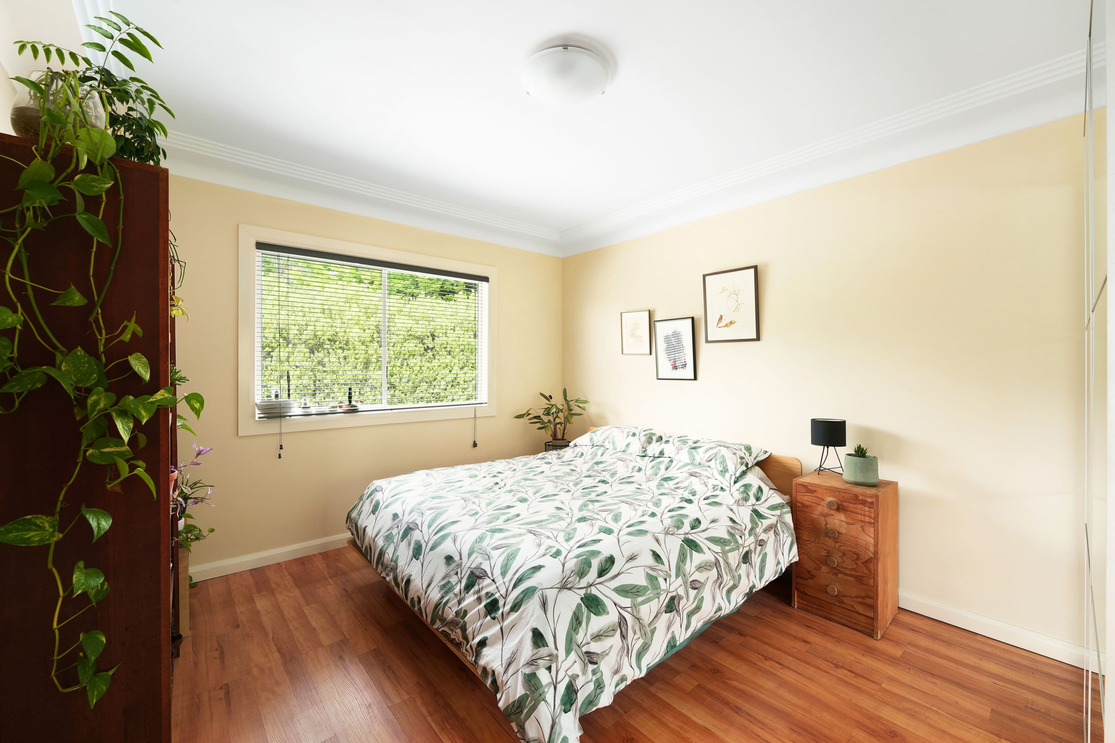 1 Mandemar Street, Welby NSW 2575, Welby - Thumbnail 3