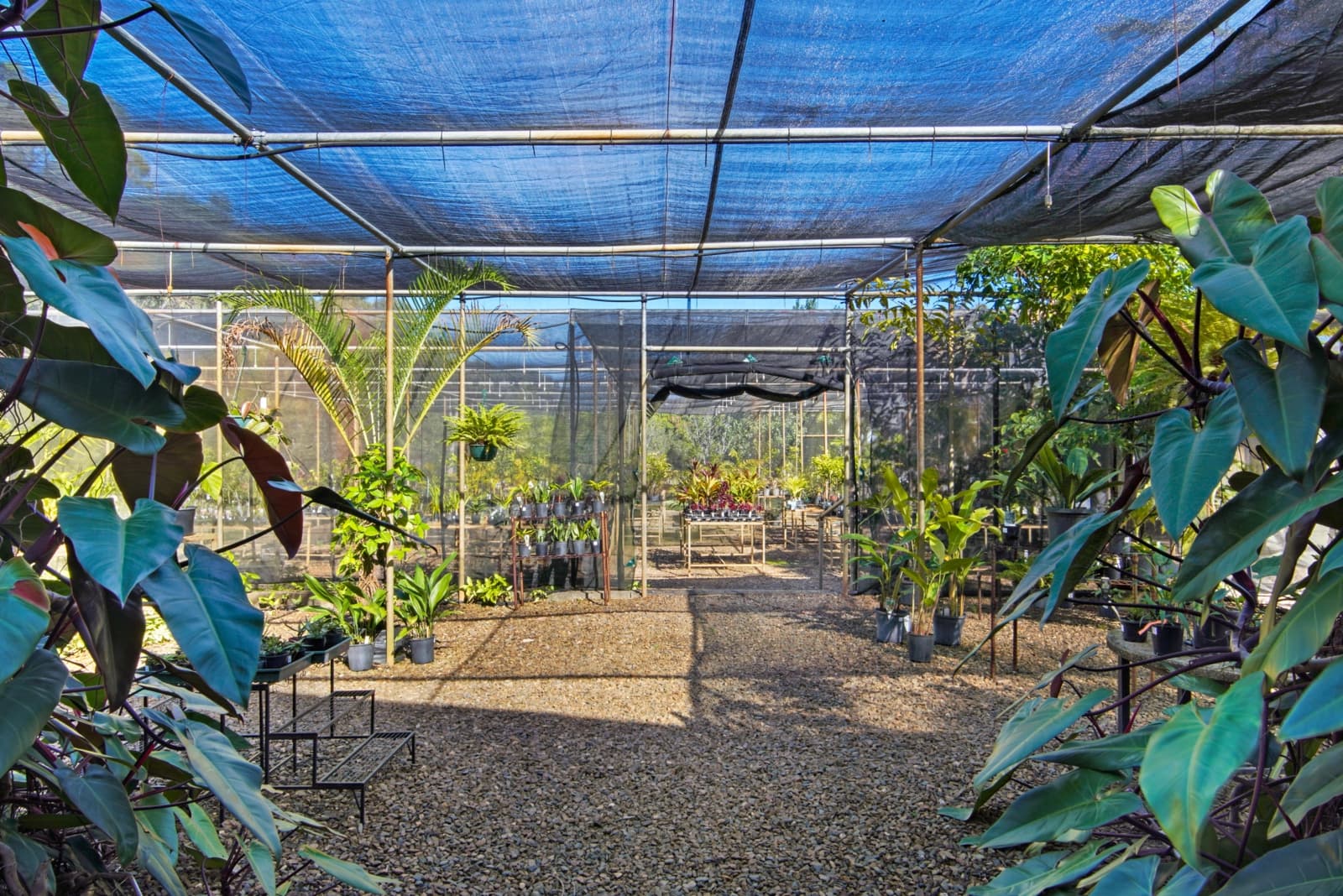 220 Bicentennial Drive,Agnes Water, Agnes Water - Thumbnail 4