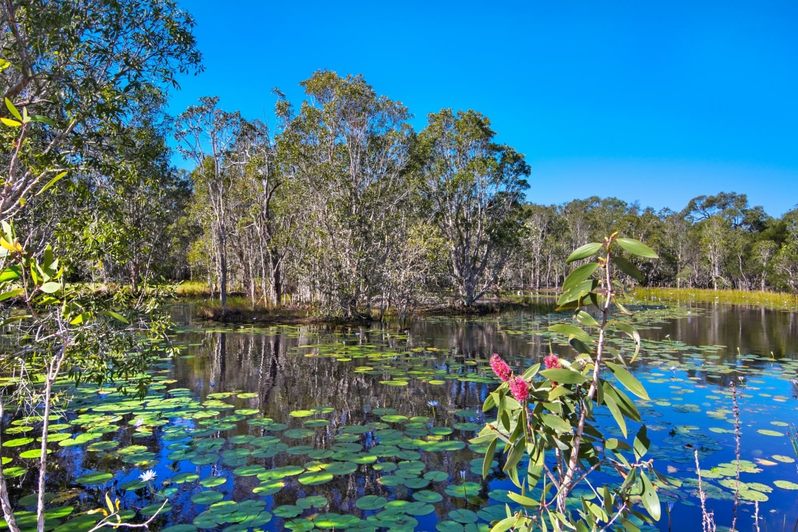 220 Bicentennial Drive,Agnes Water, Agnes Water - Thumbnail 8