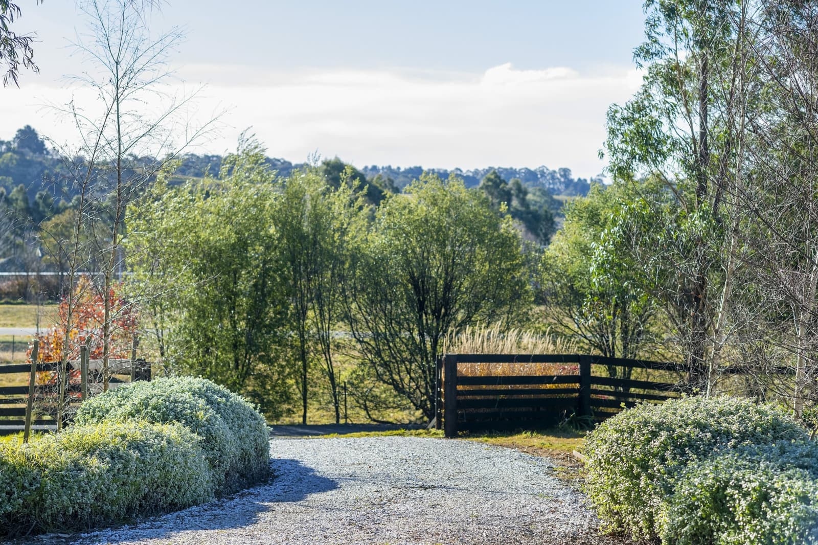 54 Greasons Road,Bundanoon, Bundanoon - Thumbnail 5