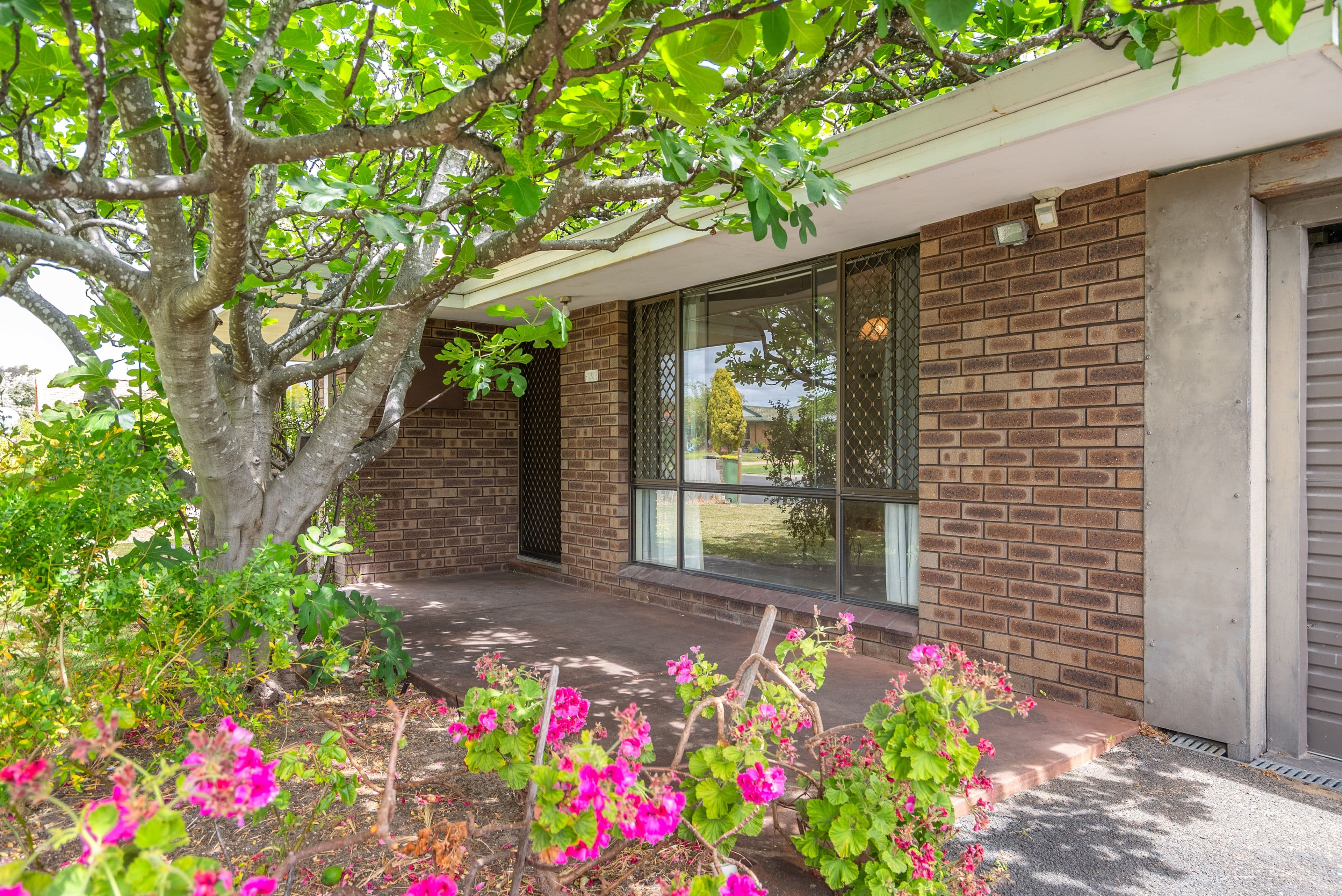 23 Bignell Drive, West Busselton WA 6280, West Busselton - Thumbnail 5