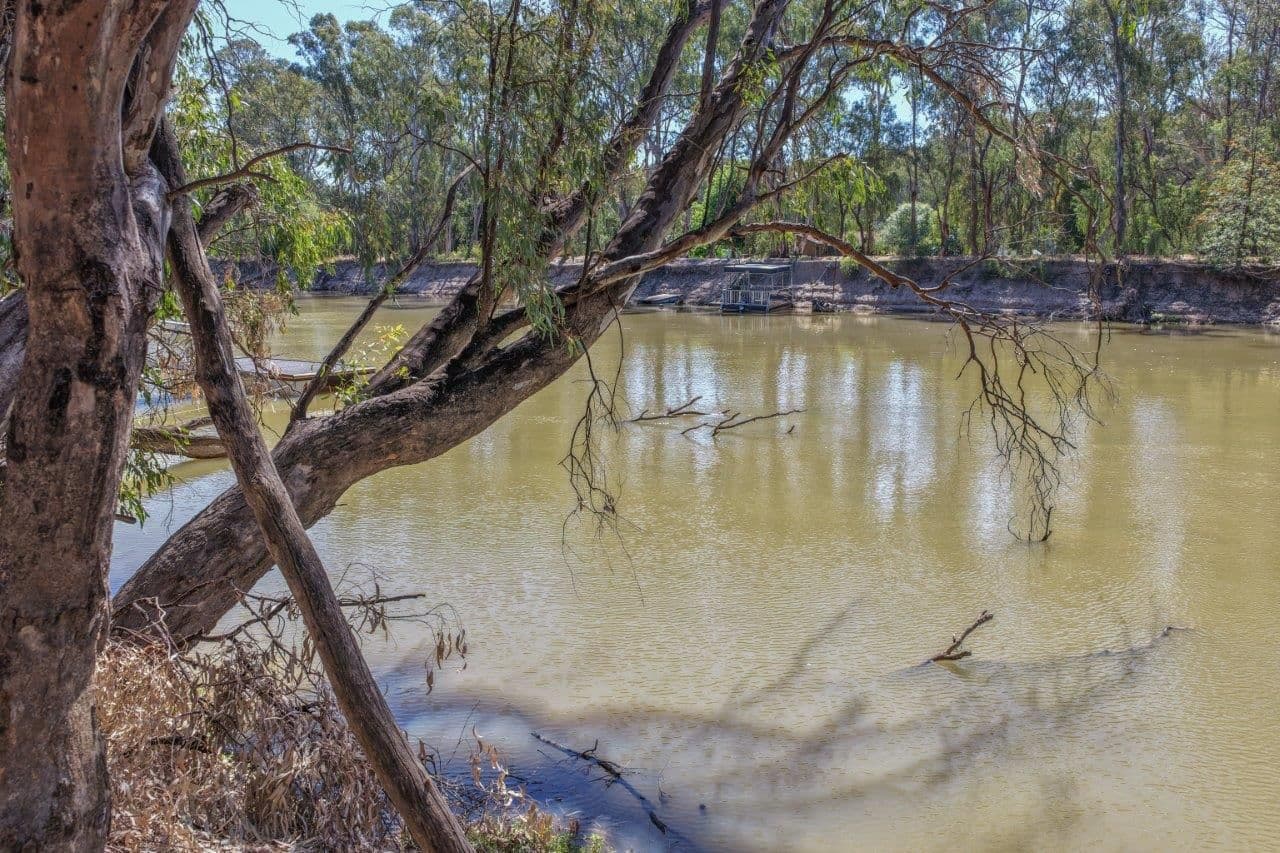 19 Armstrong Drive, Barham NSW 2732, Barham - Thumbnail 4