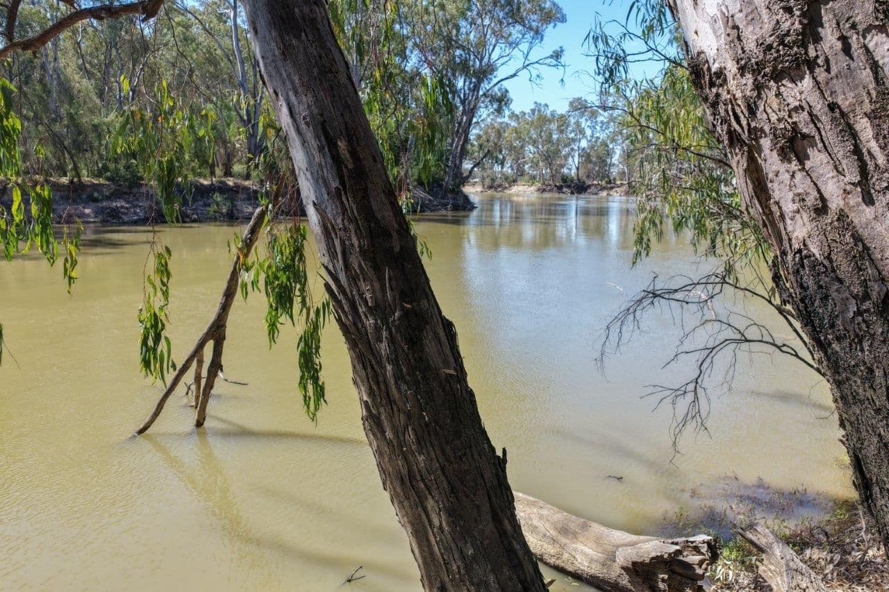19 Armstrong Drive, Barham NSW 2732, Barham - Thumbnail 5
