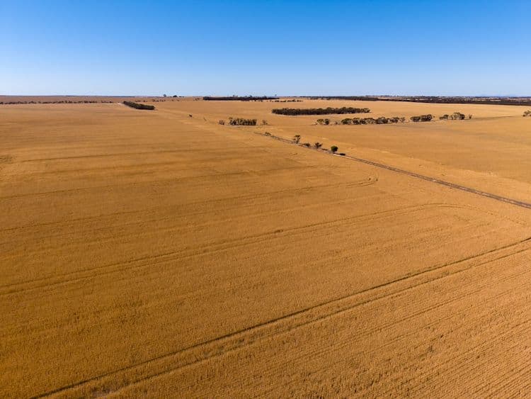 57 East Road, Pingrup WA 6343, Pingrup - Thumbnail 3