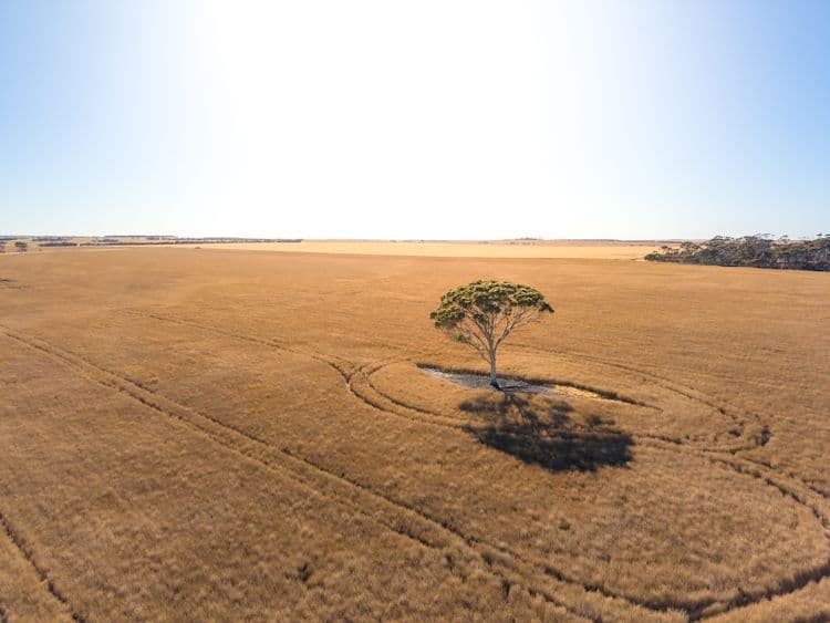 57 East Road, Pingrup WA 6343, Pingrup - Thumbnail 4