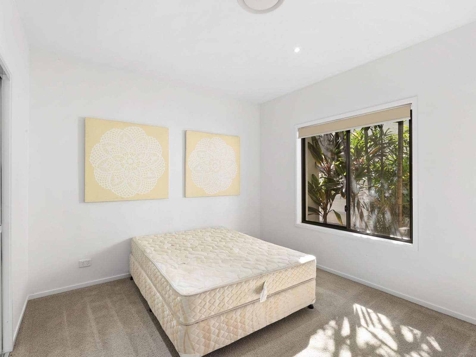 3034 Forest Hills Drive, Hope Island - Thumbnail 8