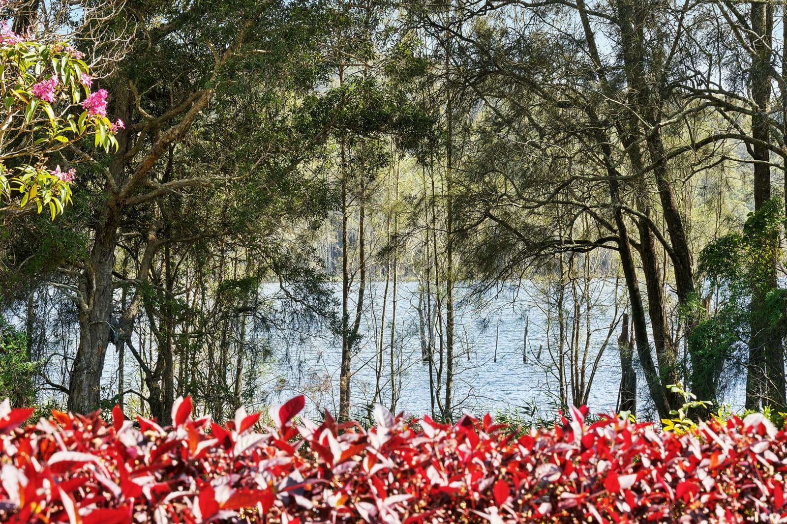 26 Lakeside Drive,Macmasters Beach, Macmasters Beach - Thumbnail 3