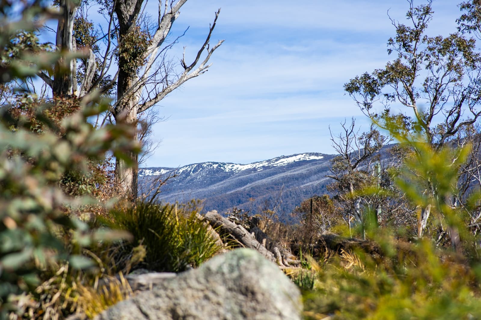 403 Cranky Flat Road,Crackenback, Crackenback - Thumbnail 4