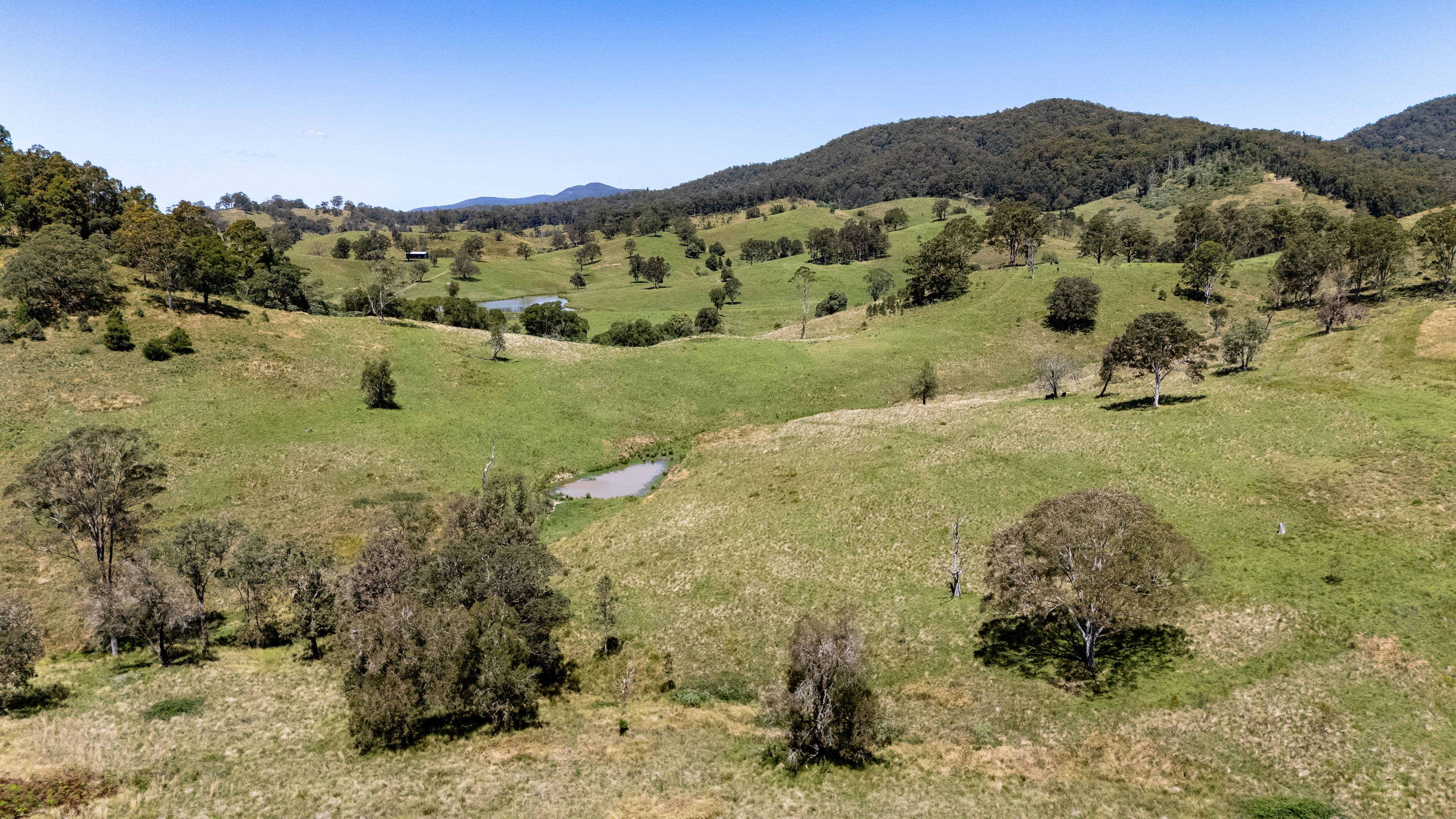 2/3-9  Armytage Street, Lorne, VIC, Lorne - Thumbnail 6
