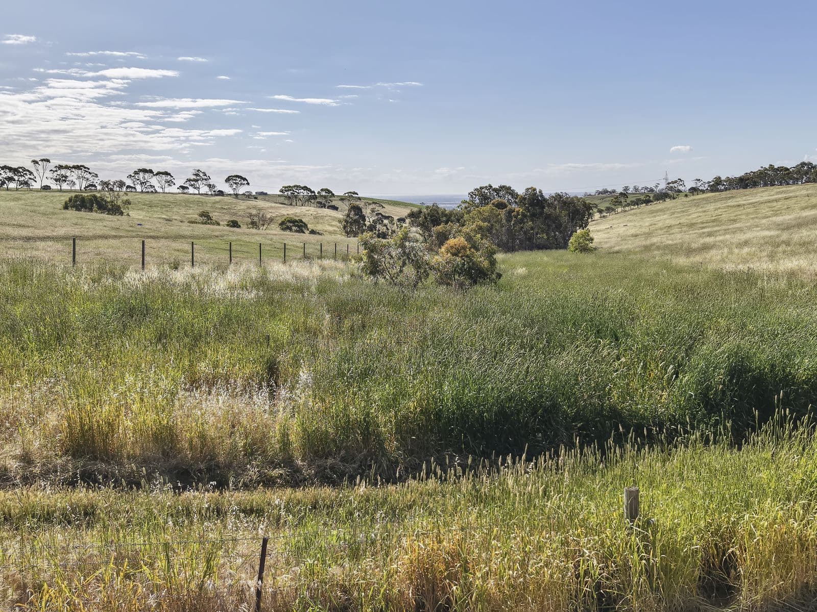 7 Medlow Road, Munno Para - Thumbnail 6