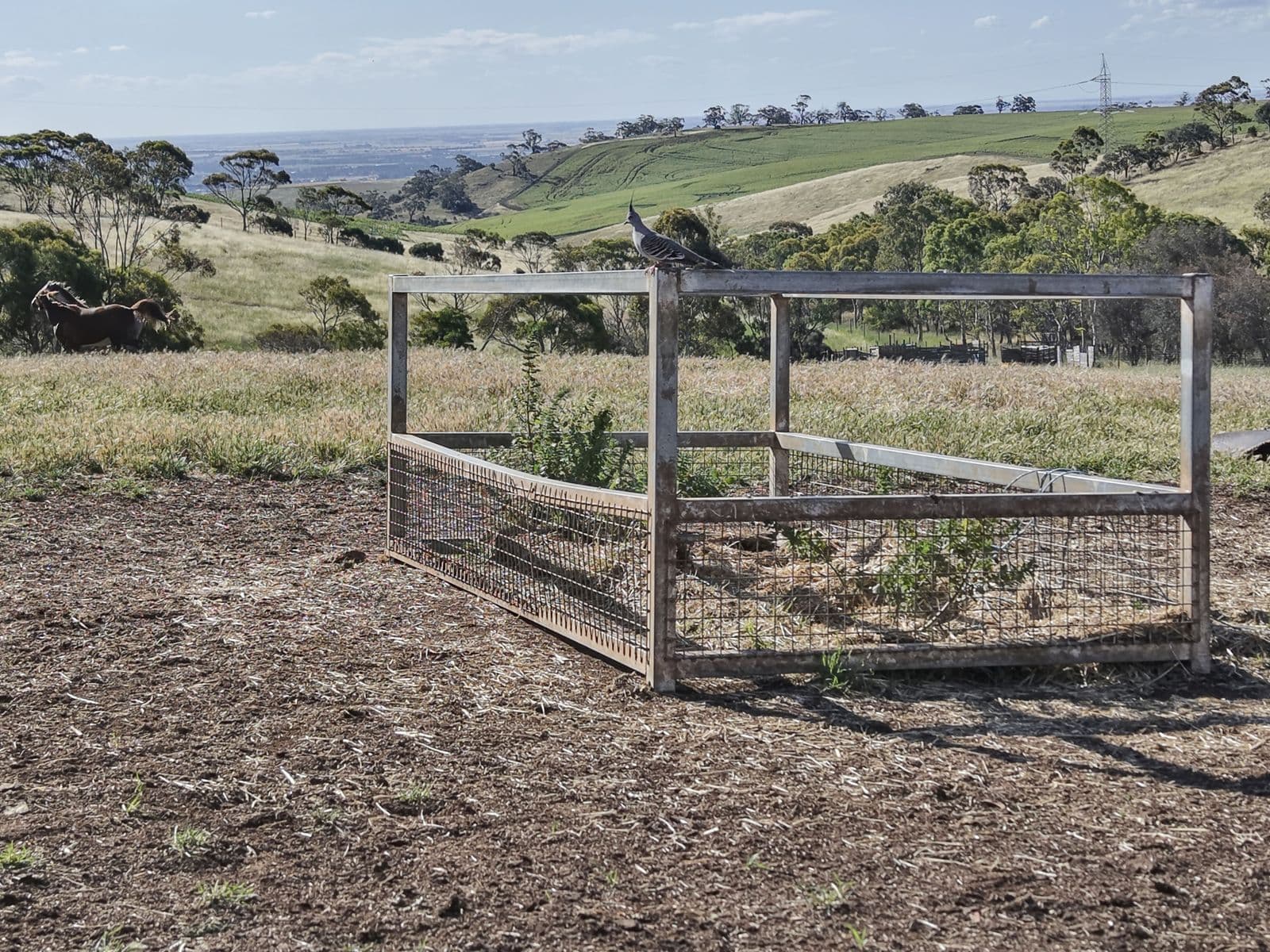 7 Medlow Road, Munno Para - Thumbnail 7
