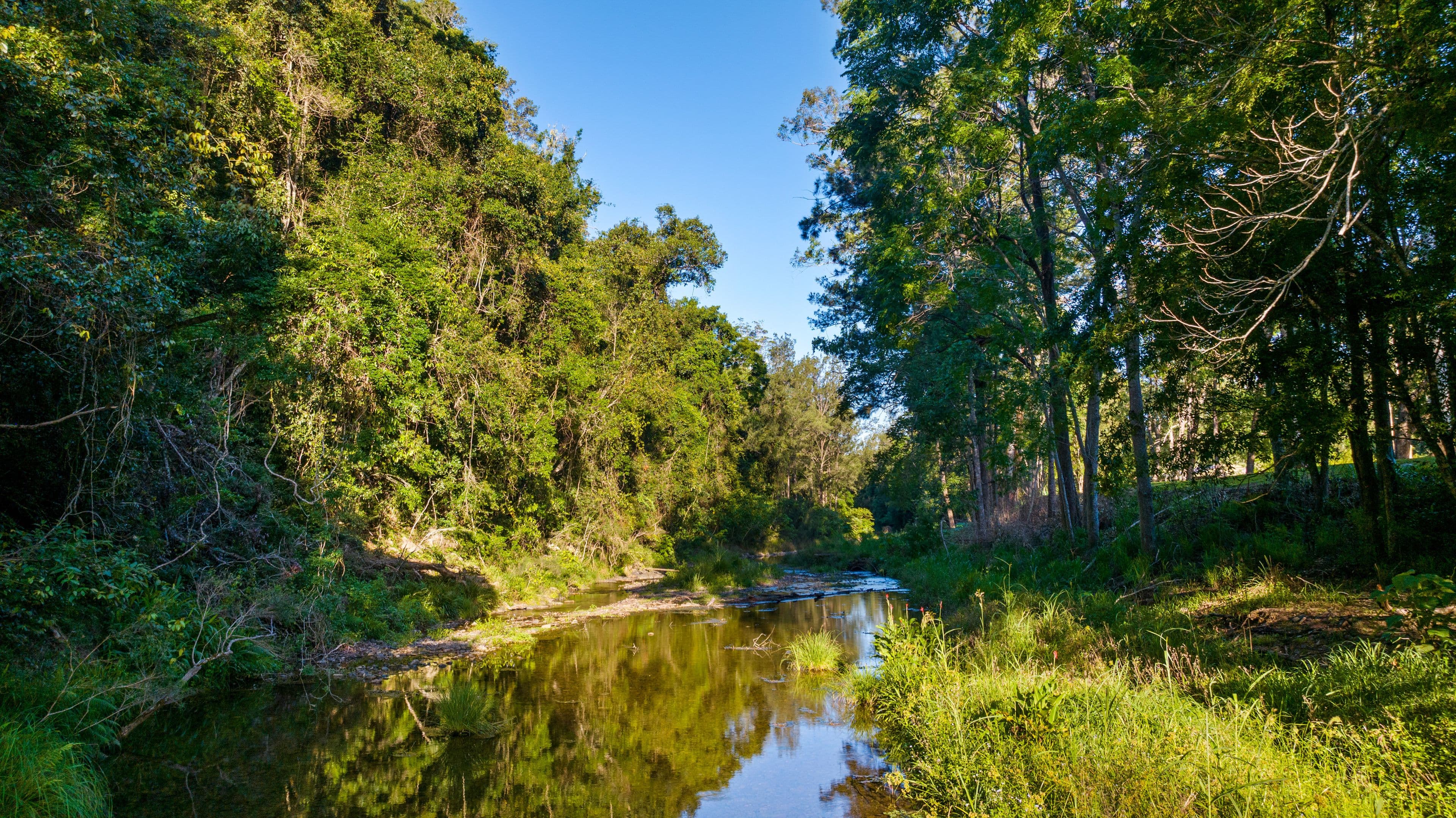 282 Booloumba Creek Road, Cambroon QLD 4552, Cambroon - Thumbnail 2