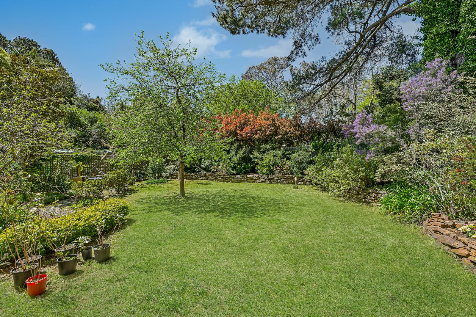 12 Albert Street,Leura, Leura - Thumbnail 6