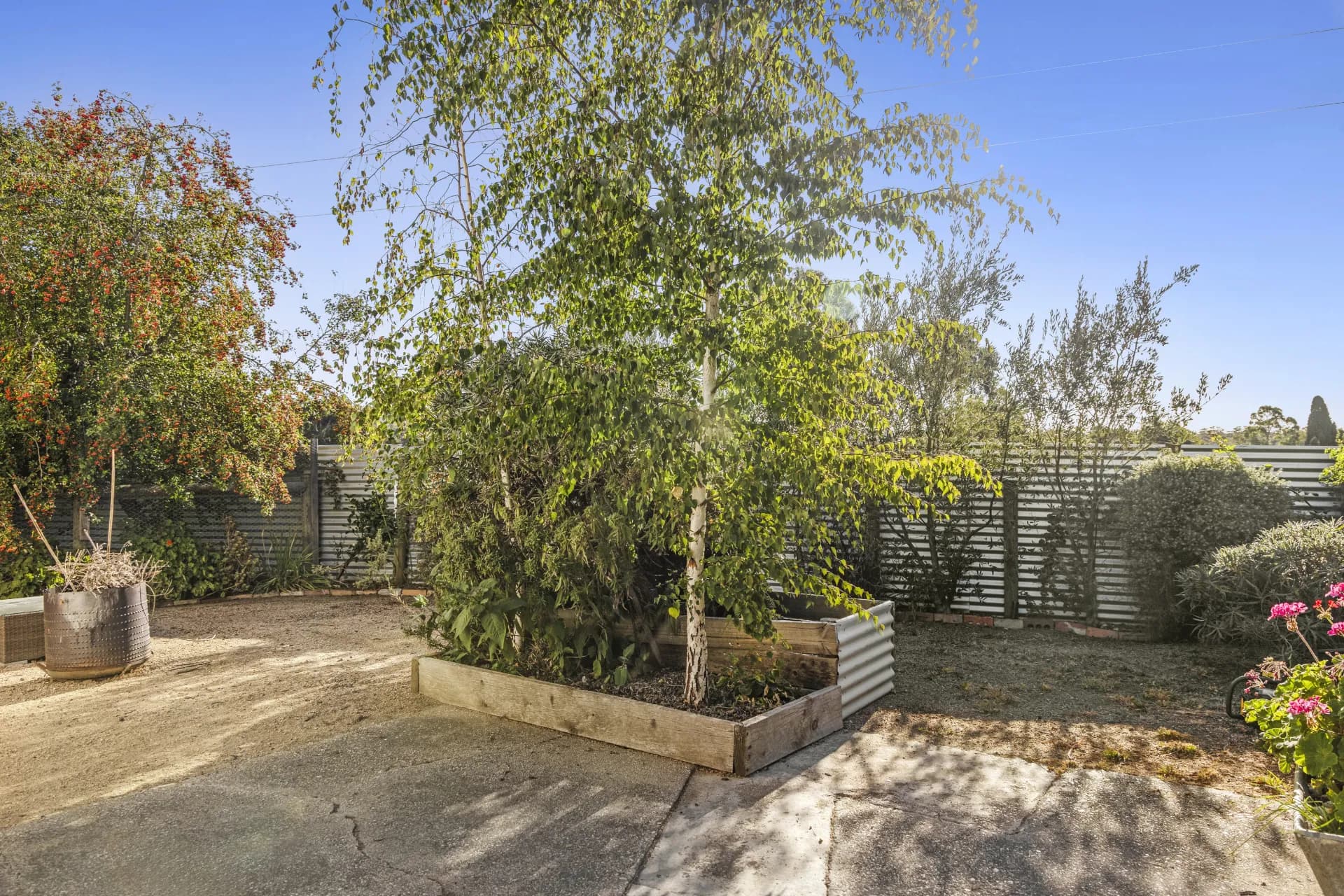 22 Suburban Street, Clunes, VIC, Clunes - Thumbnail 8