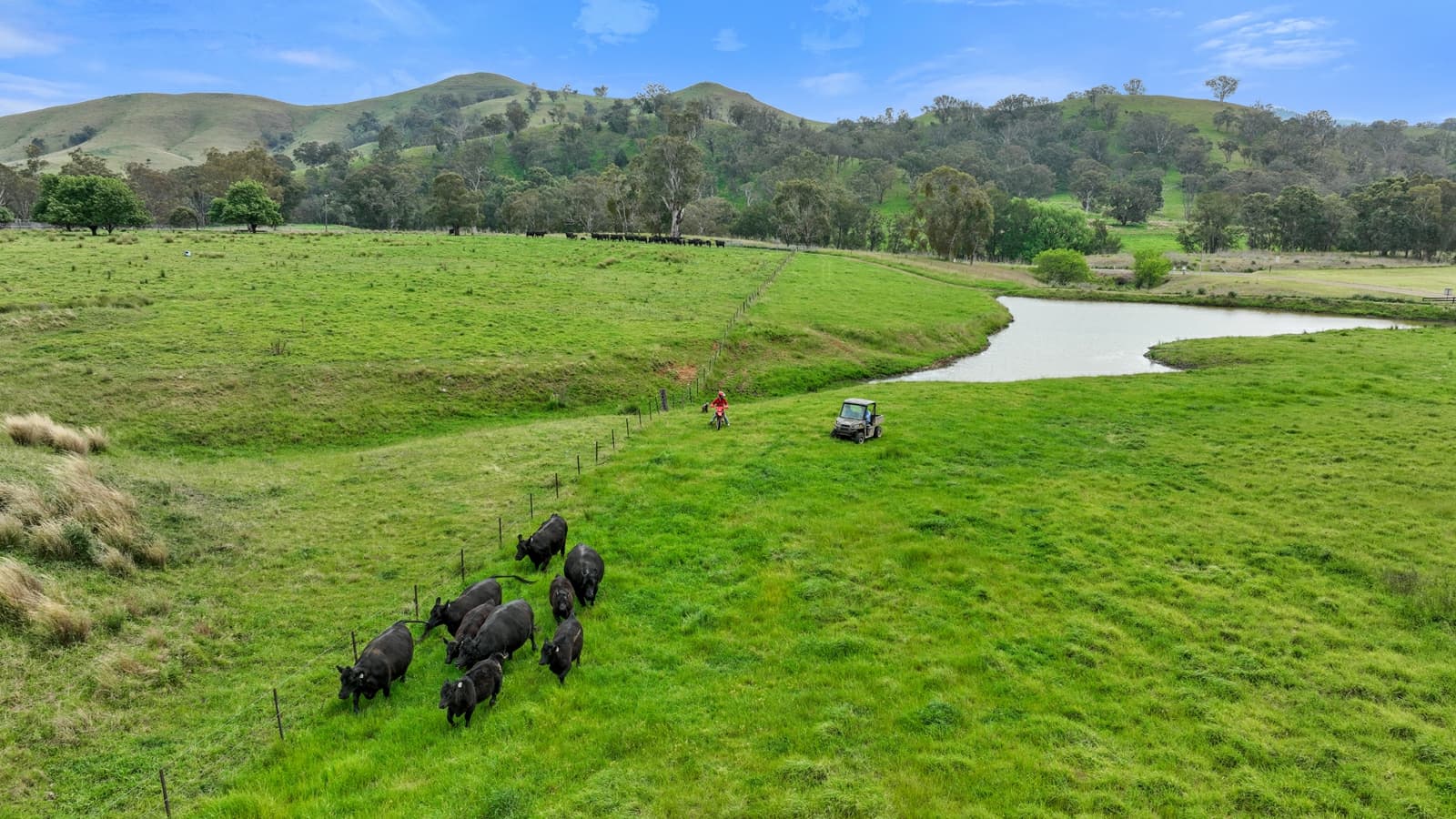 53 Bushes Creek Road,Timor, Timor - Thumbnail 2