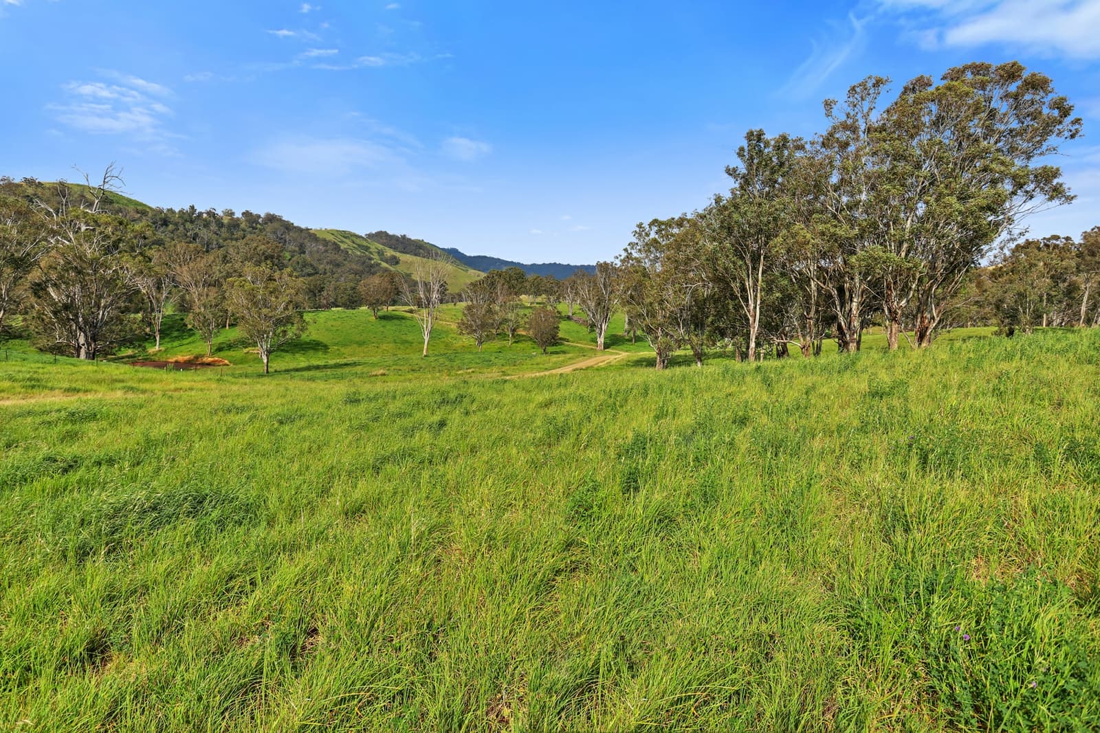 53 Bushes Creek Road,Timor, Timor - Thumbnail 4