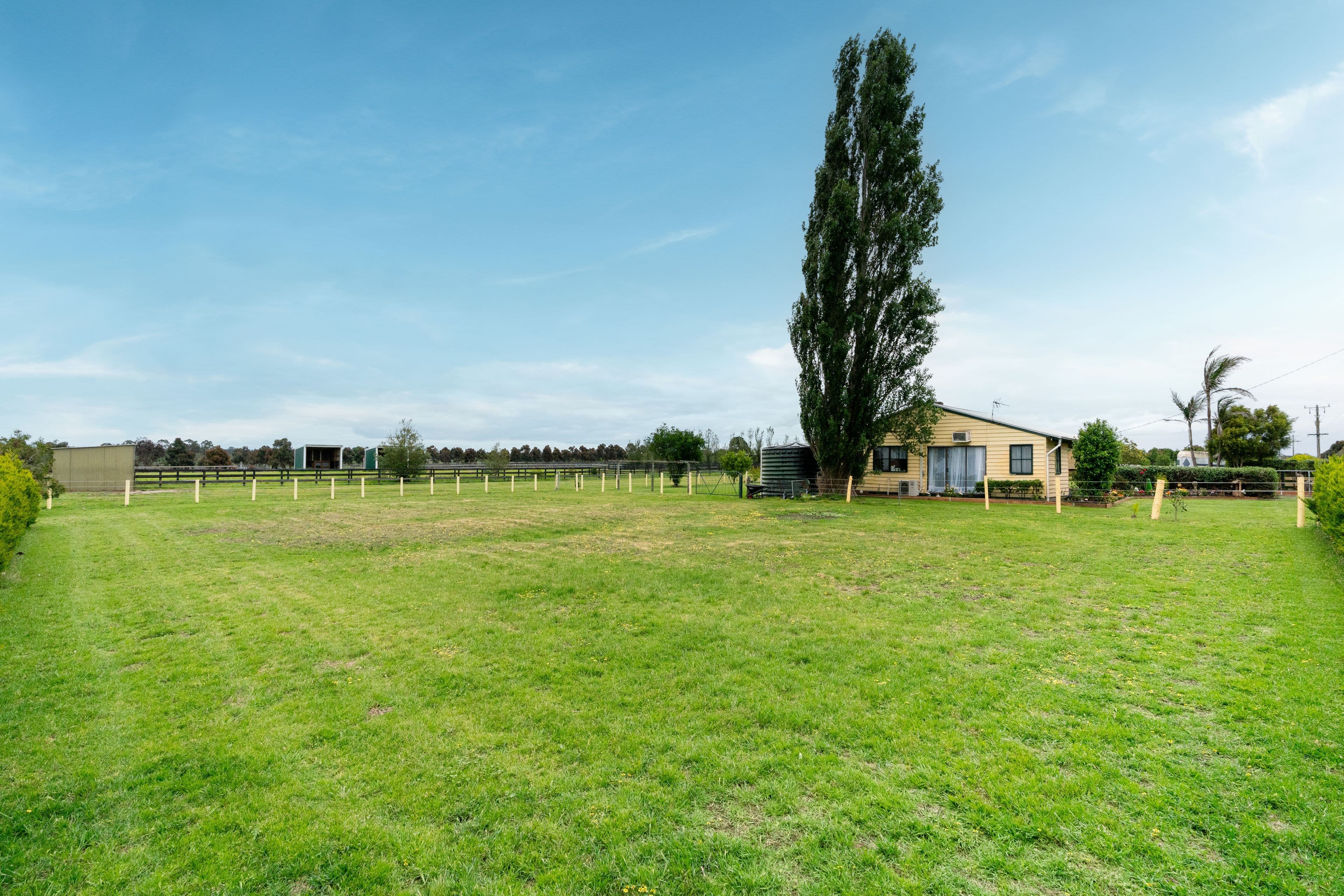 95 Craigs Lane, Pearcedale VIC 3912, Pearcedale - Thumbnail 5