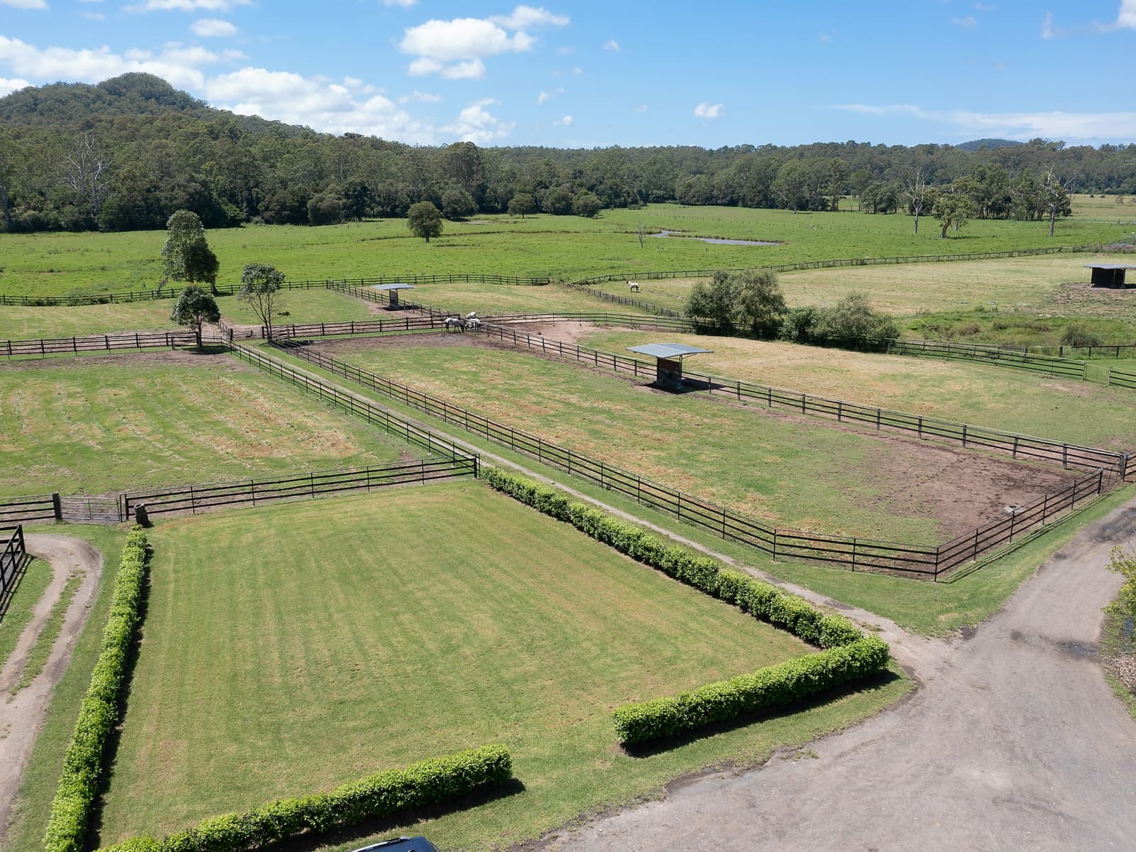 1213 Dooralong Road,Dooralong, Dooralong - Thumbnail 7