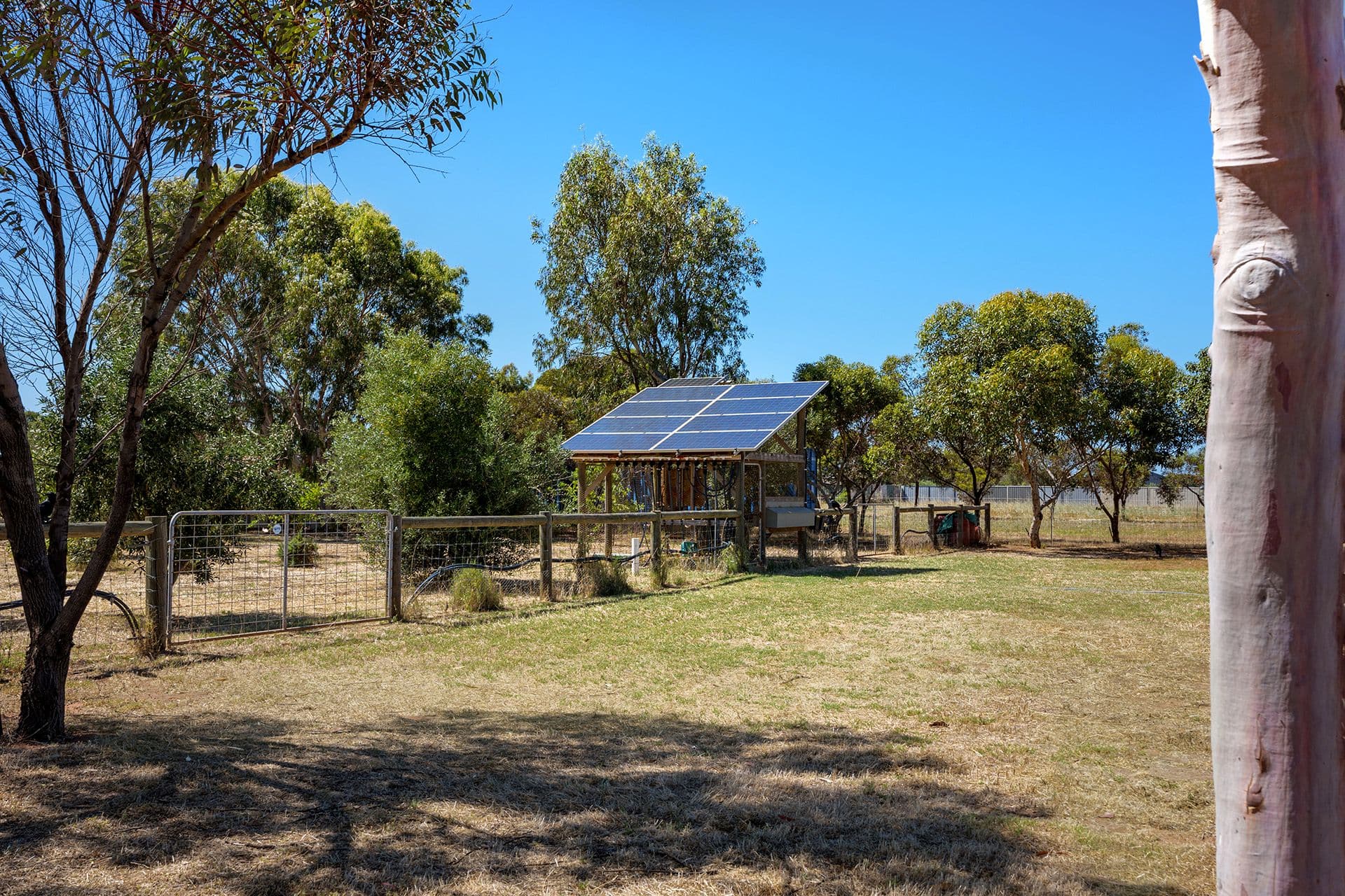 22 Rohnan Street, Utakarra WA 6530, Utakarra - Thumbnail 8
