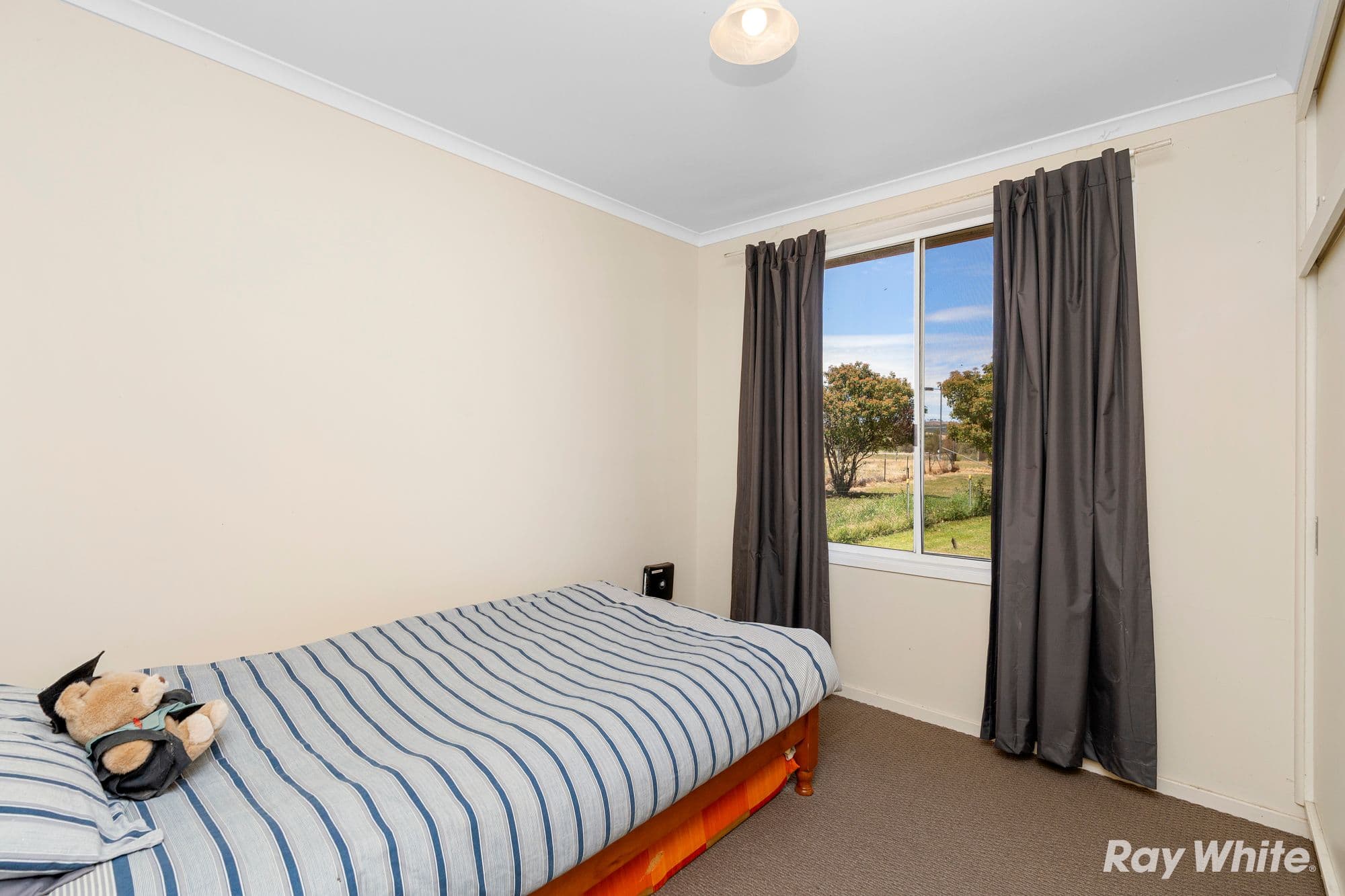 6 Jewnee Street, Wantabadgery NSW 2650, Wantabadgery - Thumbnail 6