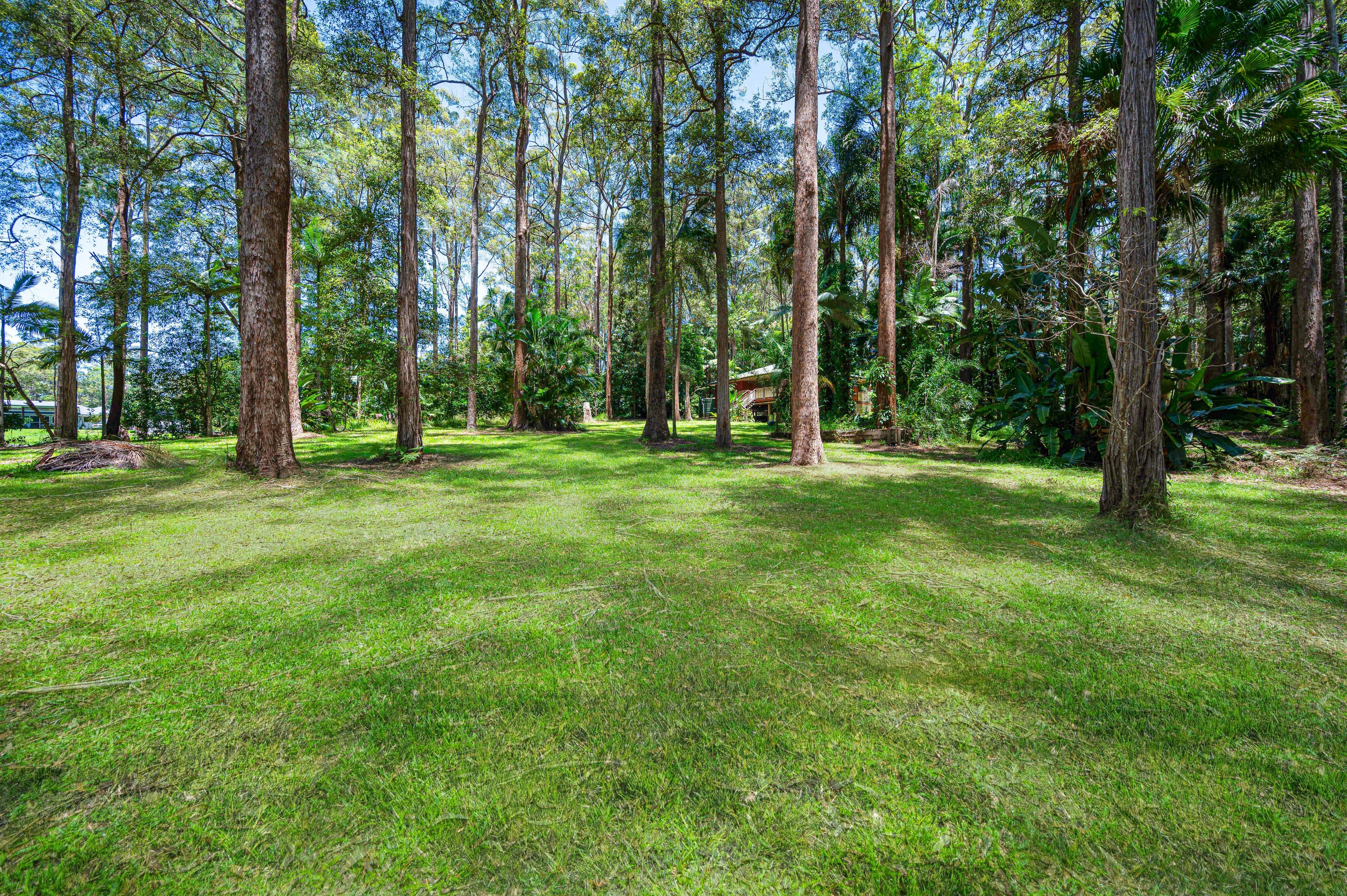 8 Clorinda Place, Palmview QLD 4553, Palmview - Thumbnail 5