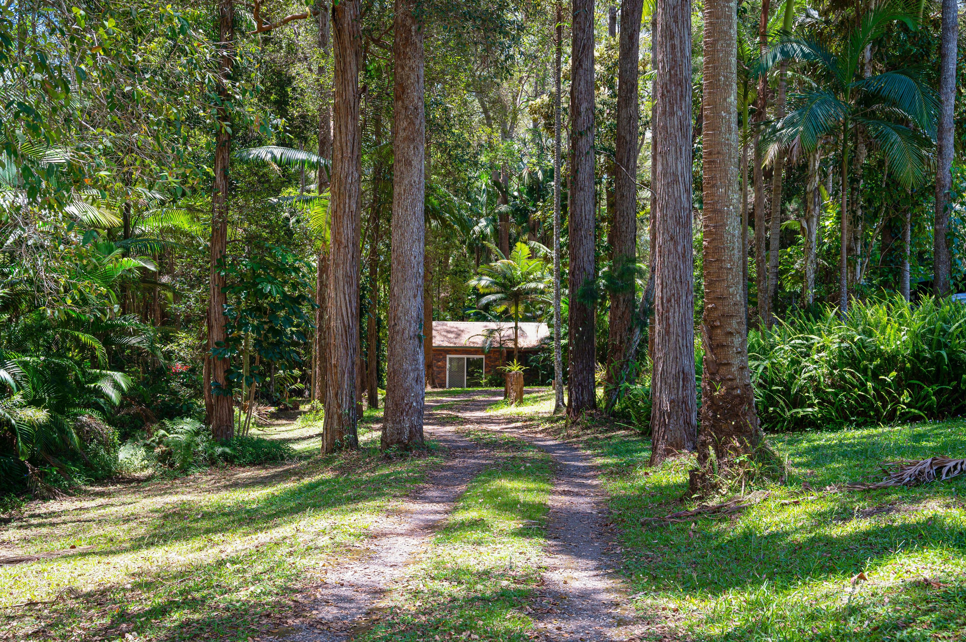 8 Clorinda Place, Palmview QLD 4553, Palmview - Thumbnail 7