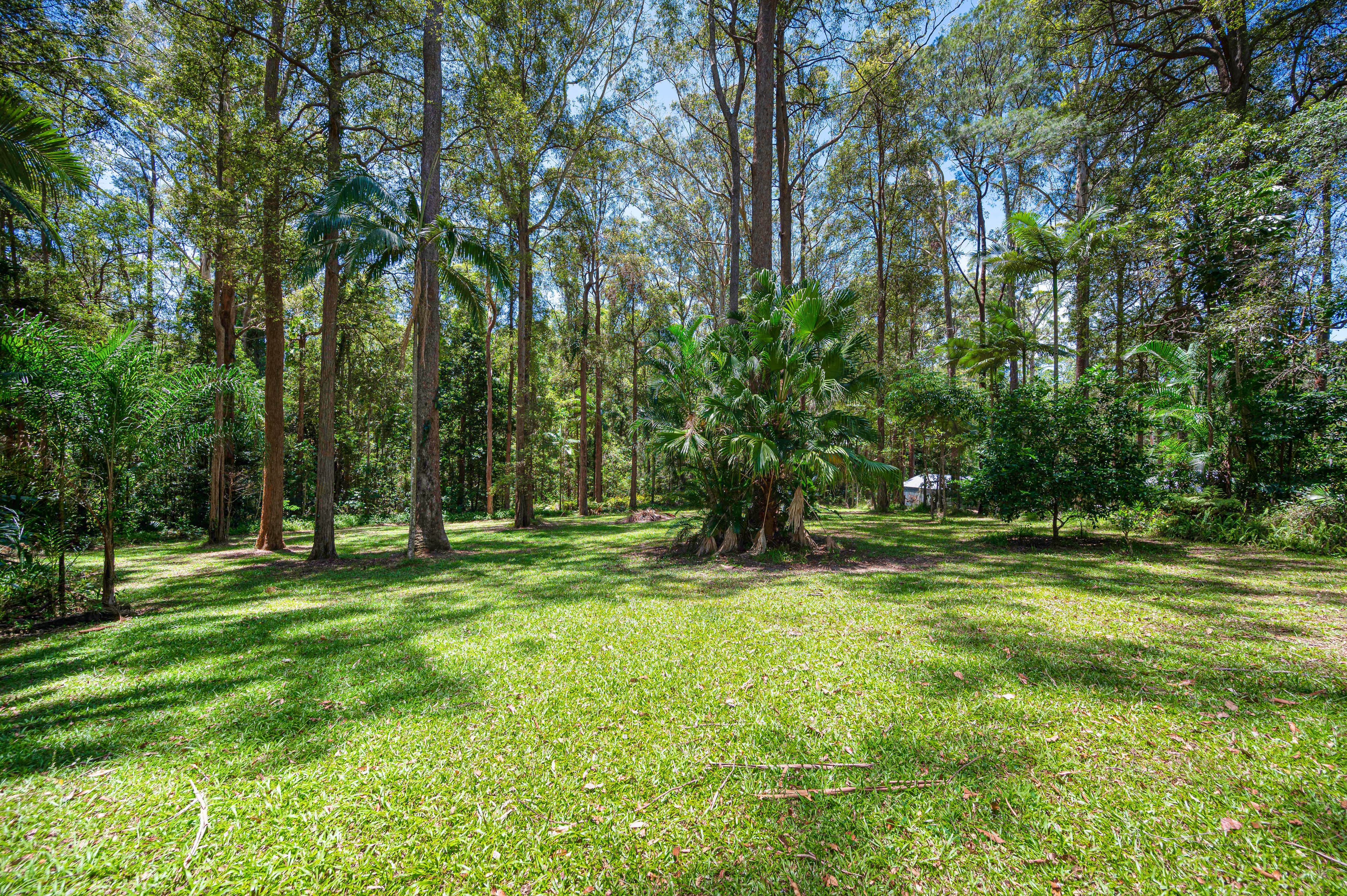 8 Clorinda Place, Palmview QLD 4553, Palmview - Thumbnail 8