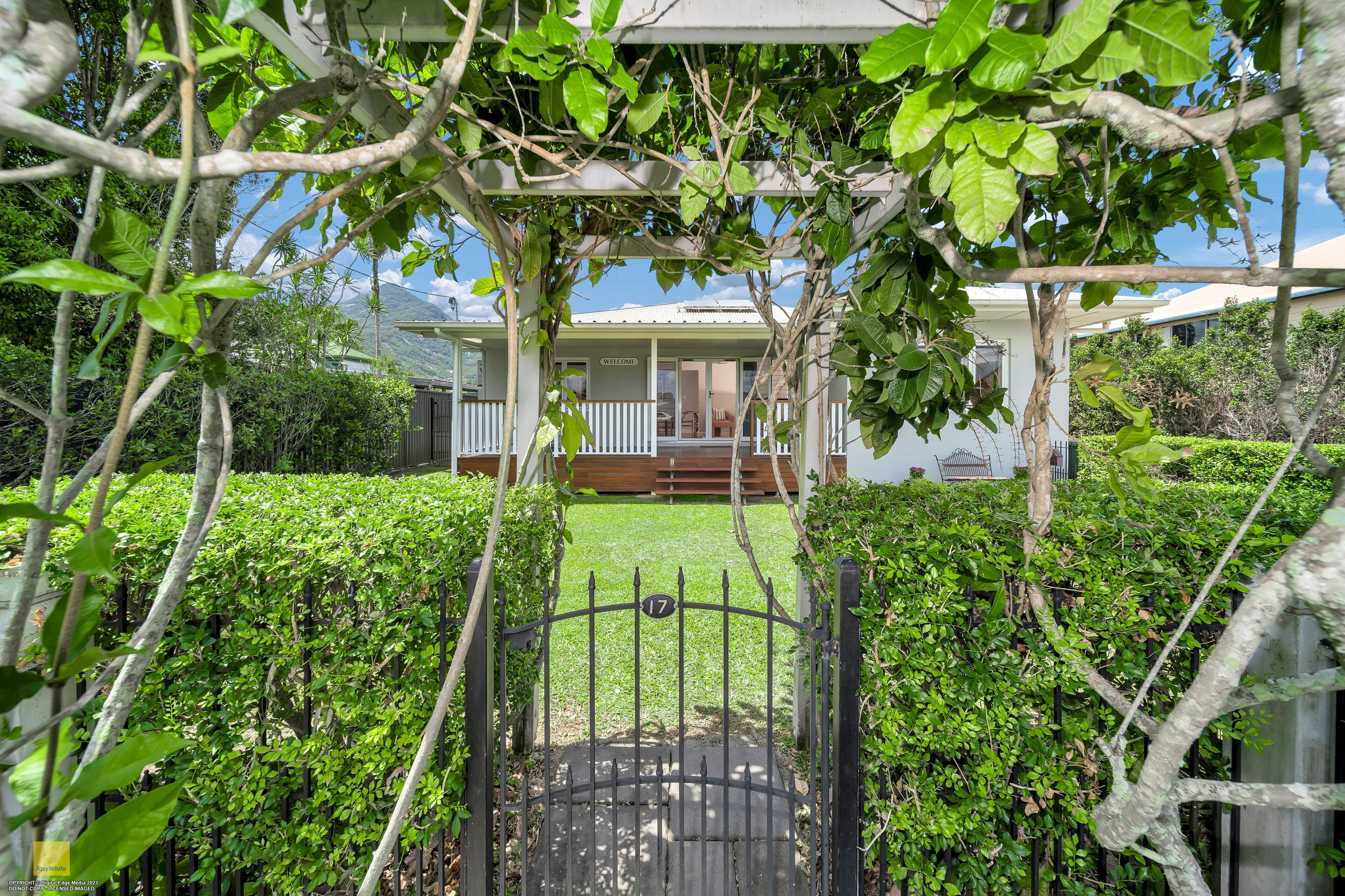 17 Moller Street, Gordonvale QLD 4865, Gordonvale - Thumbnail 3