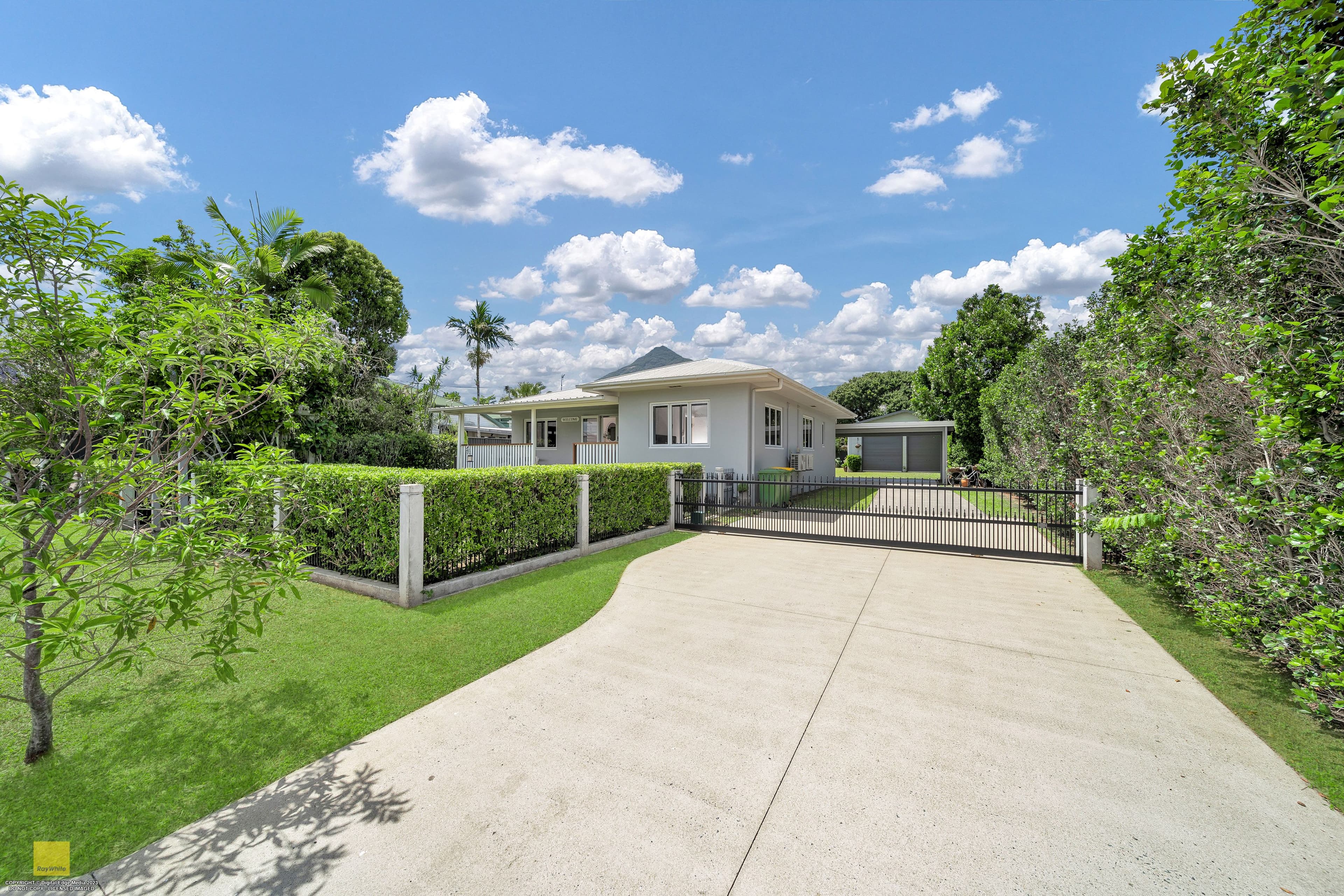 17 Moller Street, Gordonvale QLD 4865, Gordonvale - Thumbnail 8