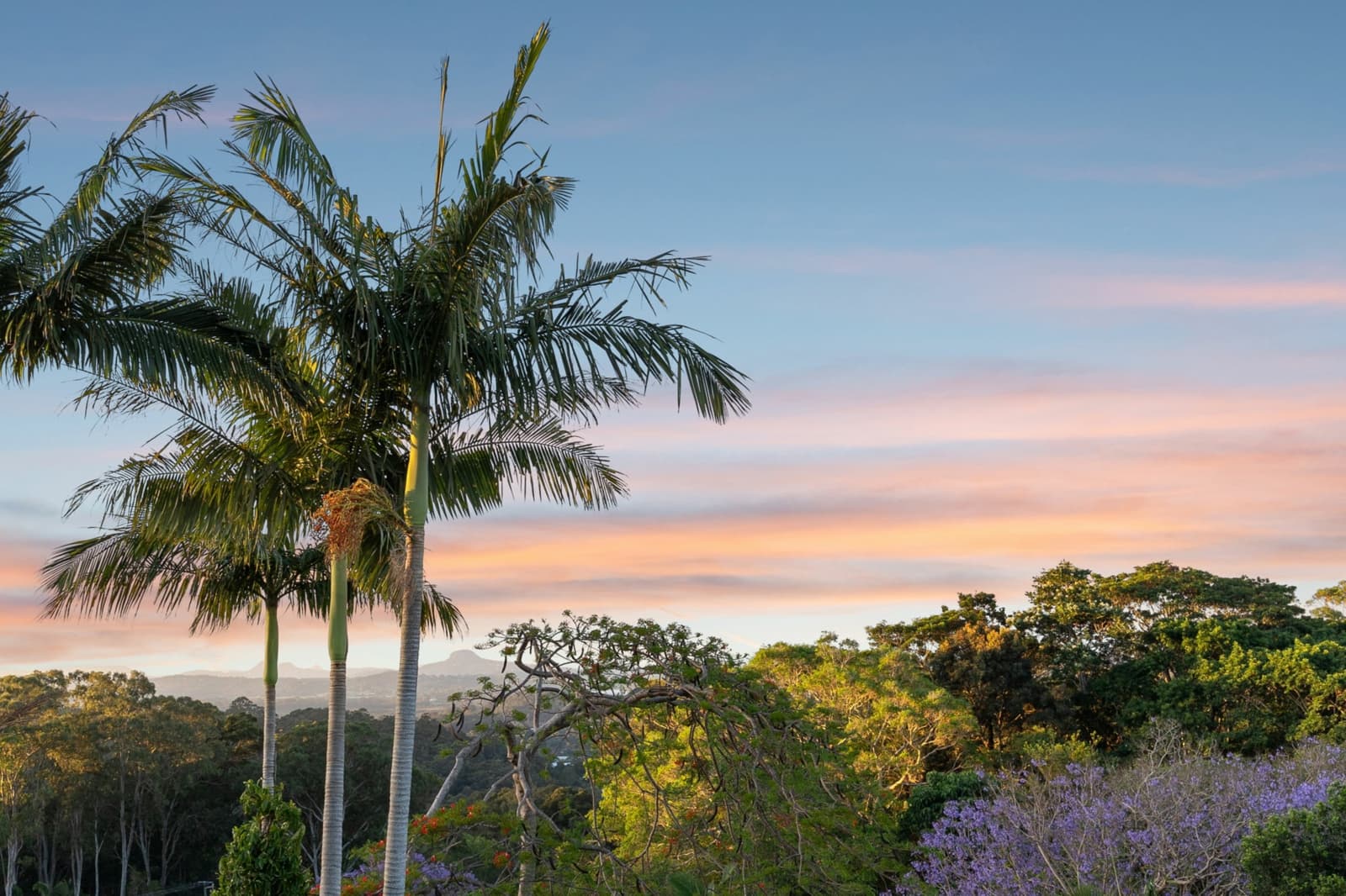 37 Eckersley Avenue,Buderim, Buderim - Thumbnail 3