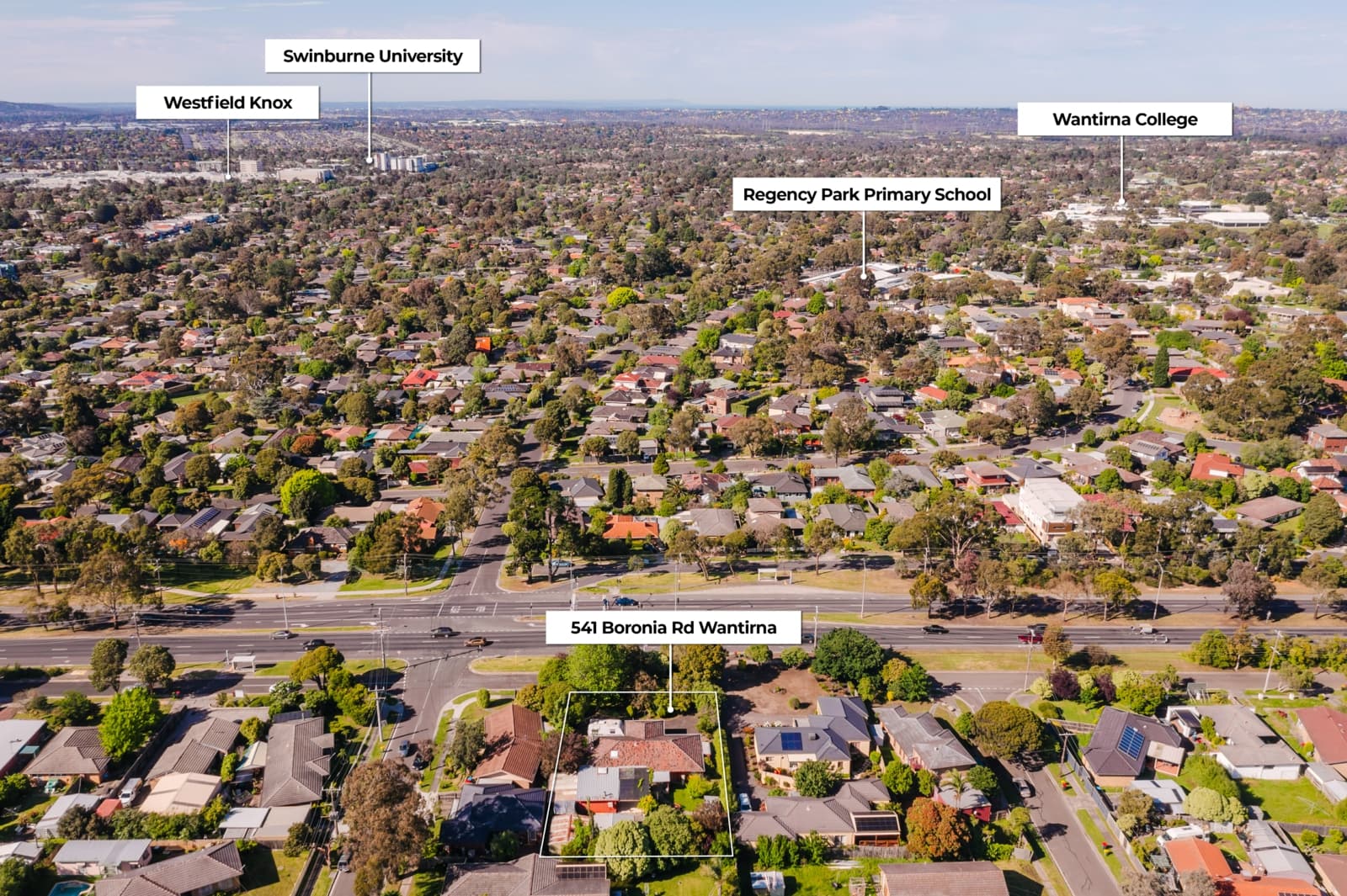 541 Boronia Road,Wantirna, Wantirna - Thumbnail 3